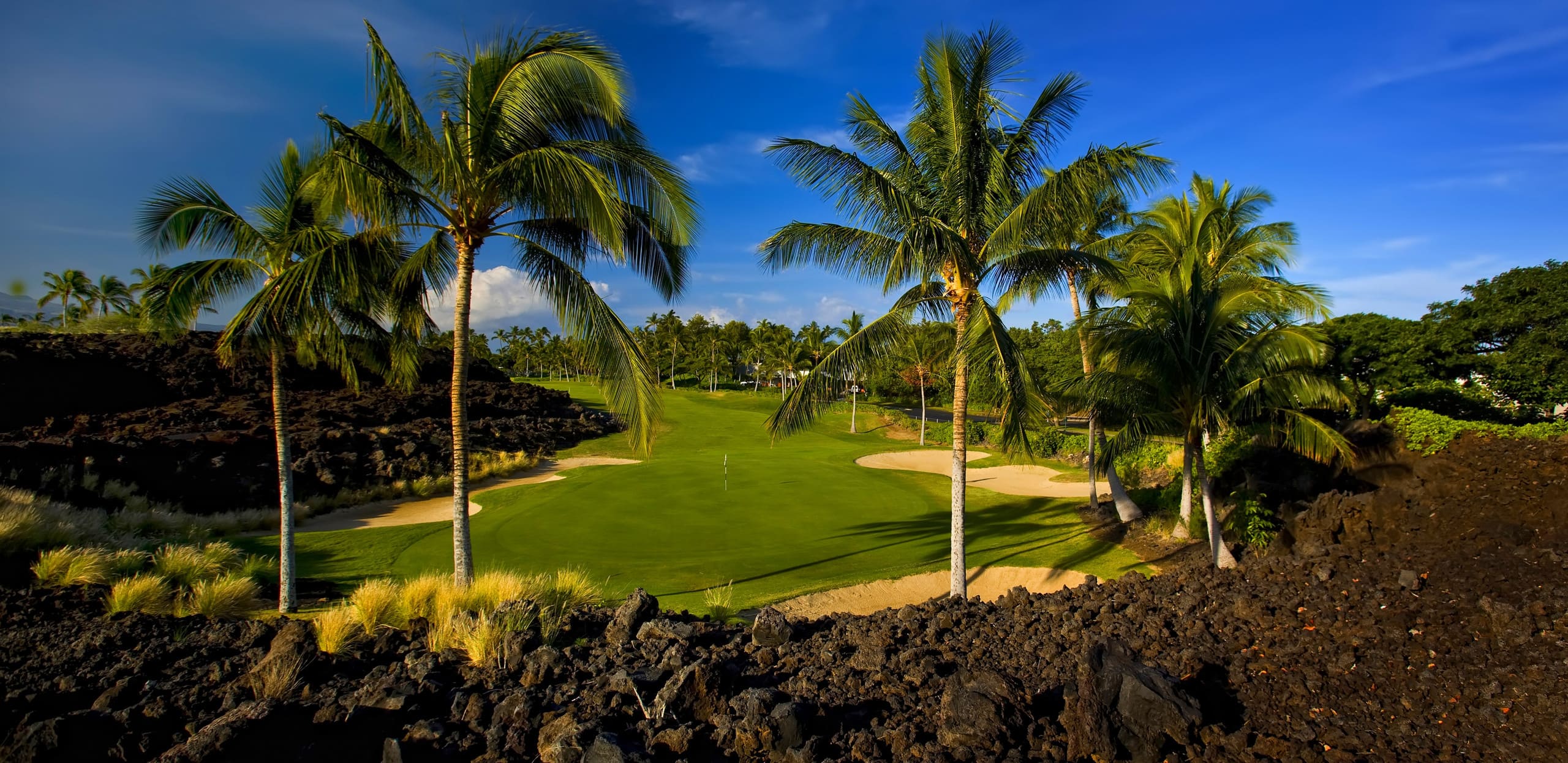 Villa in Waikoloa Village · ★5.0 · 2 bedrooms · 3 beds · 2 baths - Photo 7
