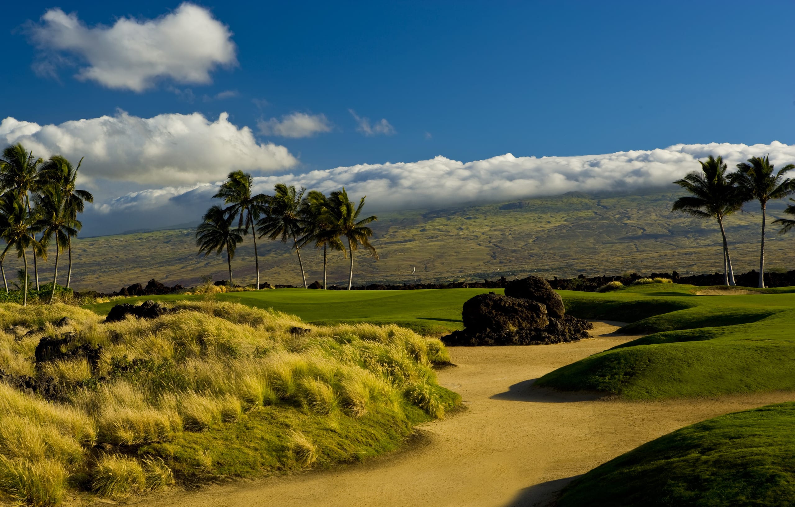 Villa in Waikoloa Village · ★5.0 · 2 bedrooms · 3 beds · 2 baths - Photo 50