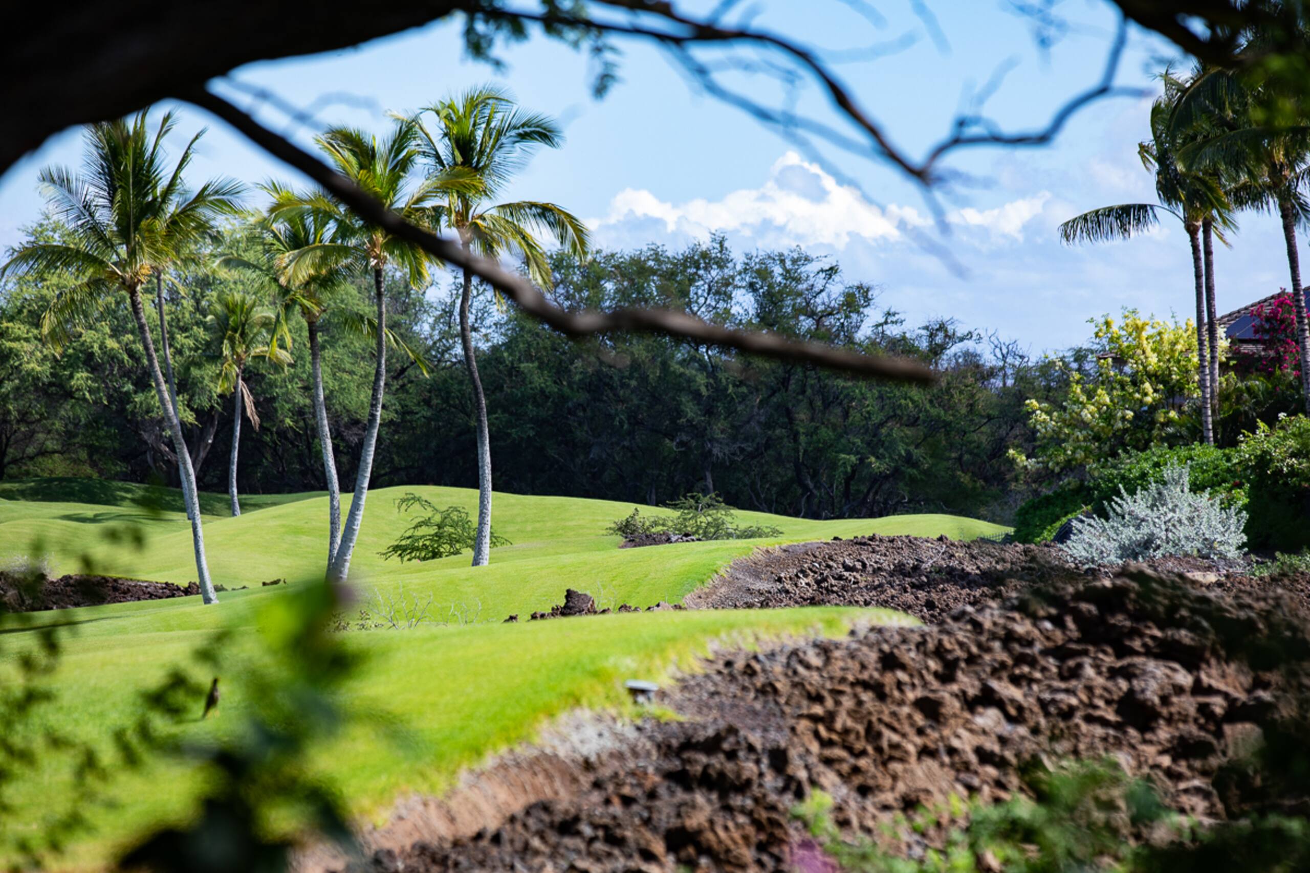Home in Waimea · ★4.78 · 4 bedrooms · 6 beds · 3.5 baths - Image 38