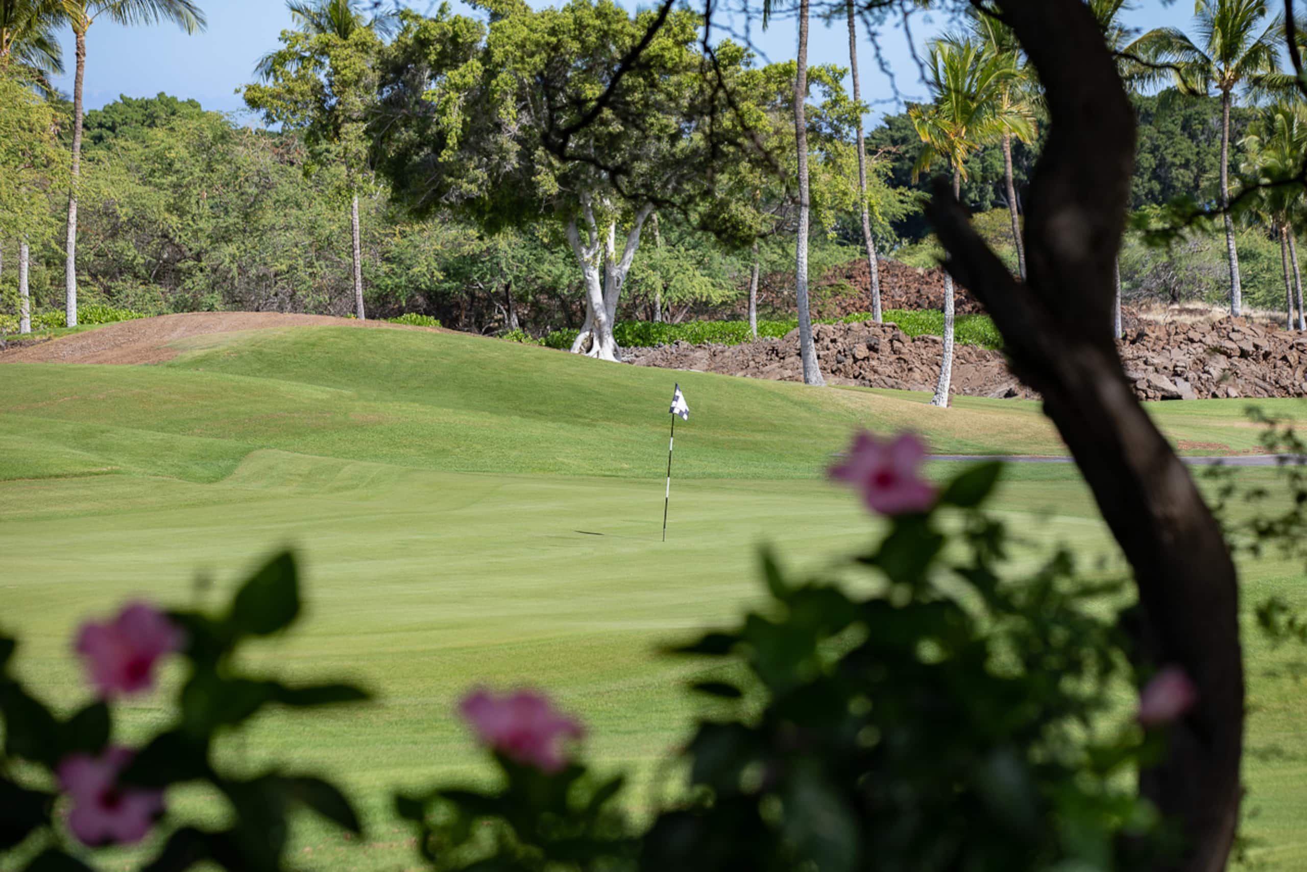 Home in Waimea · ★4.78 · 4 bedrooms · 6 beds · 3.5 baths - Image 39