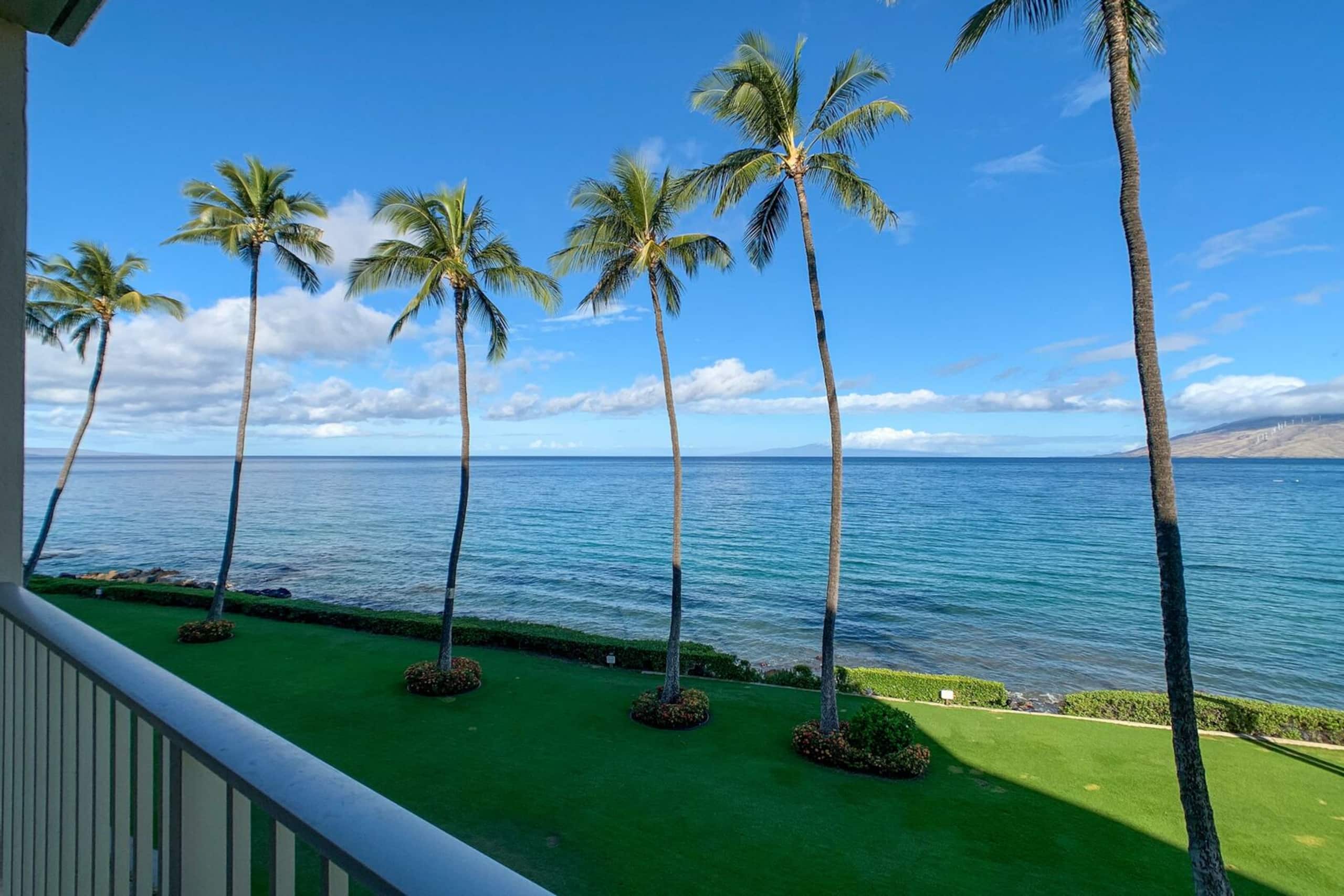 Condo in Kihei · ★4.89 · 1 bedroom · 2 beds · 1 bath - Image 8