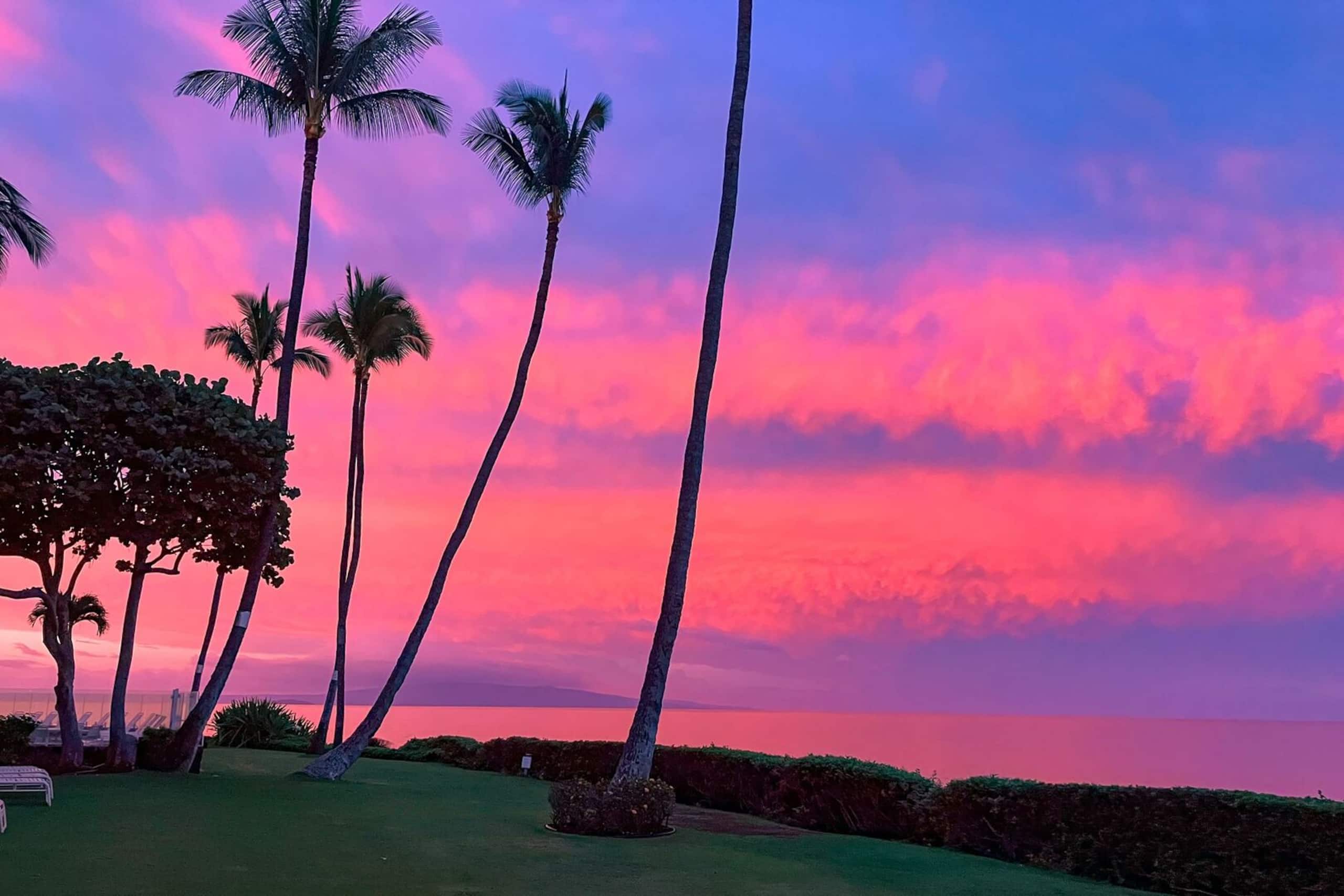 Condo in Kihei · ★4.89 · 1 bedroom · 2 beds · 1 bath - Image 38