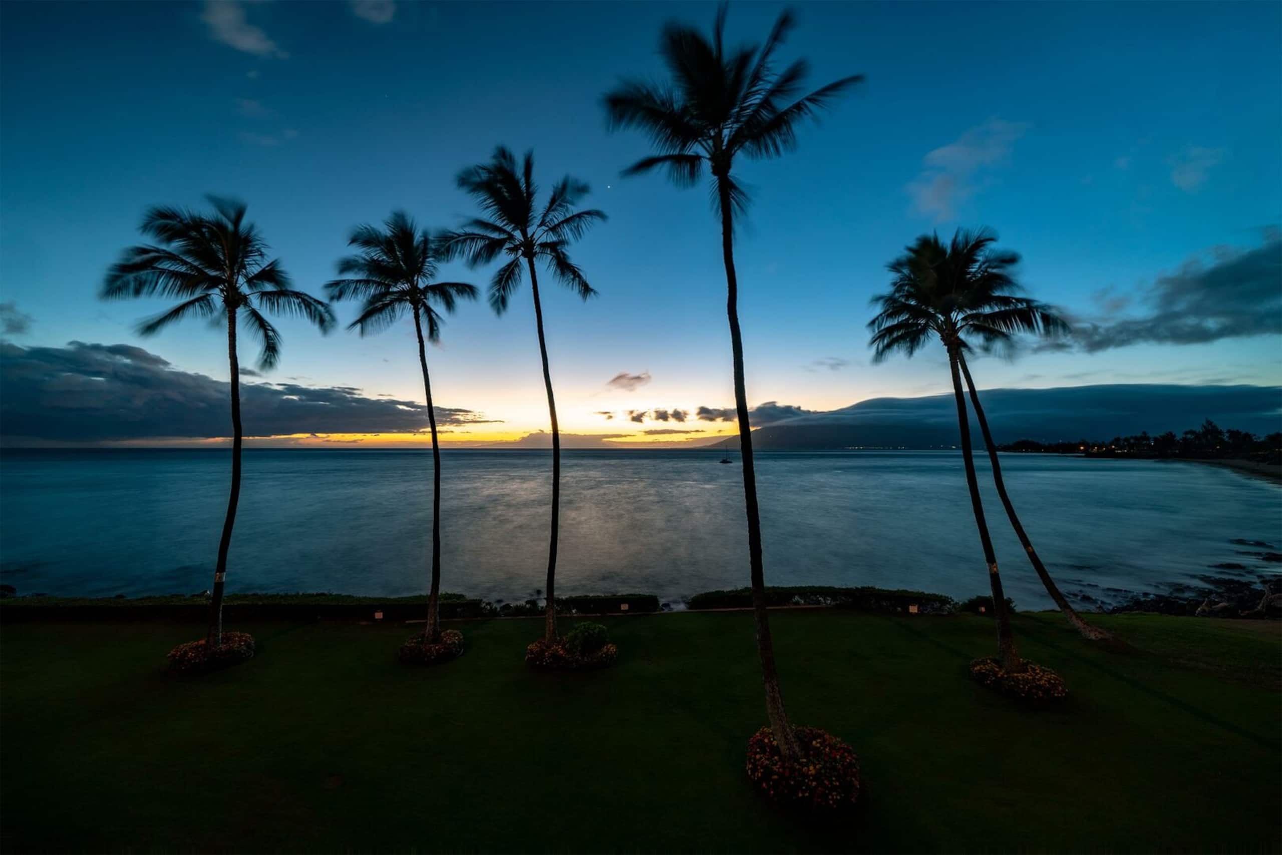 Condo in Kihei · ★4.89 · 1 bedroom · 2 beds · 1 bath - Image 39