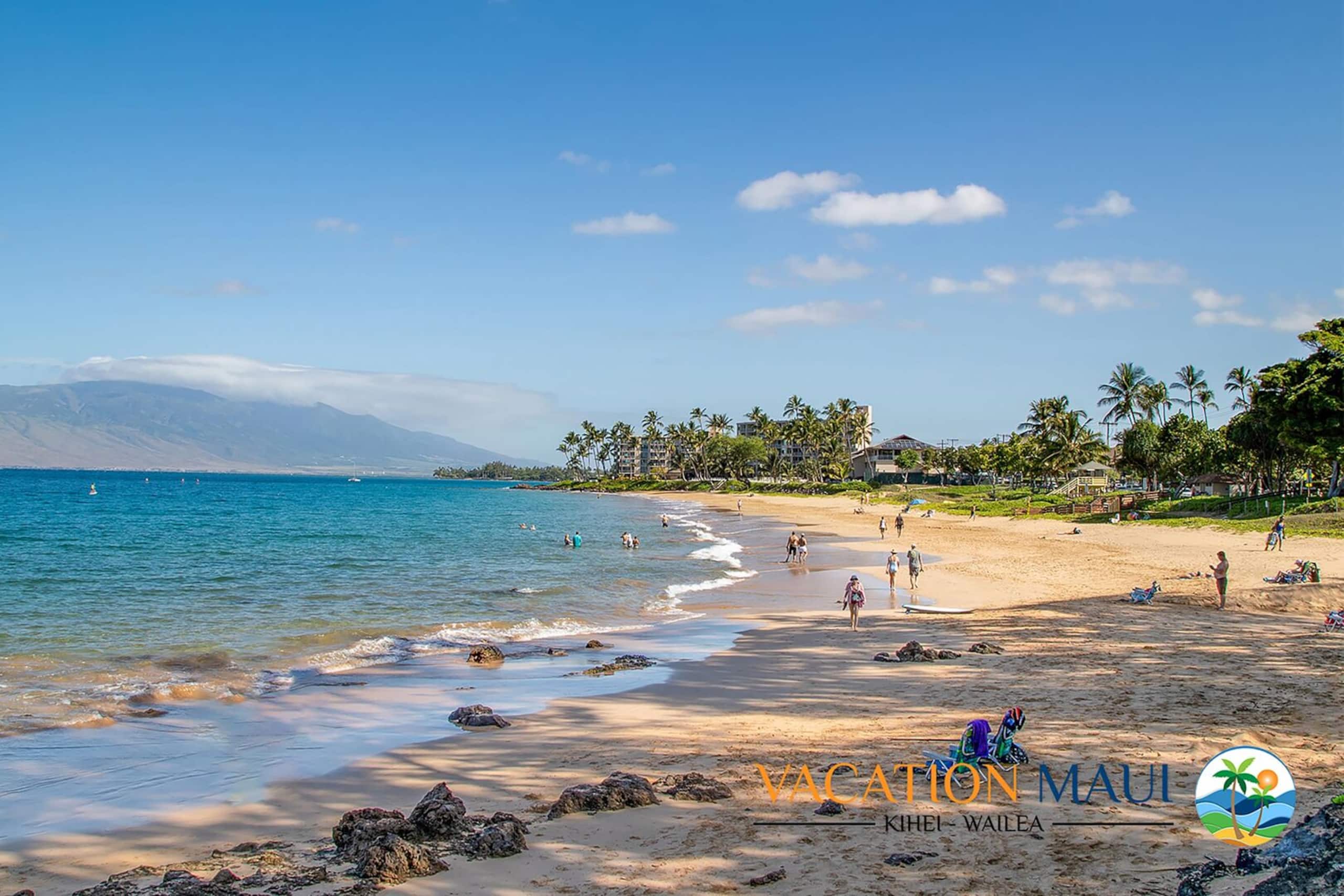 Condo in Kihei · ★4.95 · 2 bedrooms · 4 beds · 2 baths - Image 38