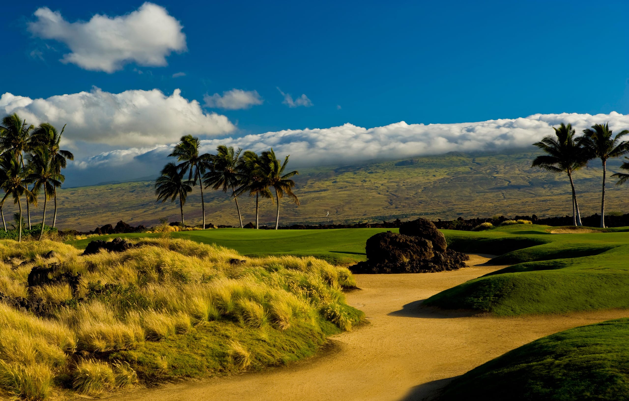 Fairway Villas Waikoloa J21 - Gold Golf Discount - Photo 61