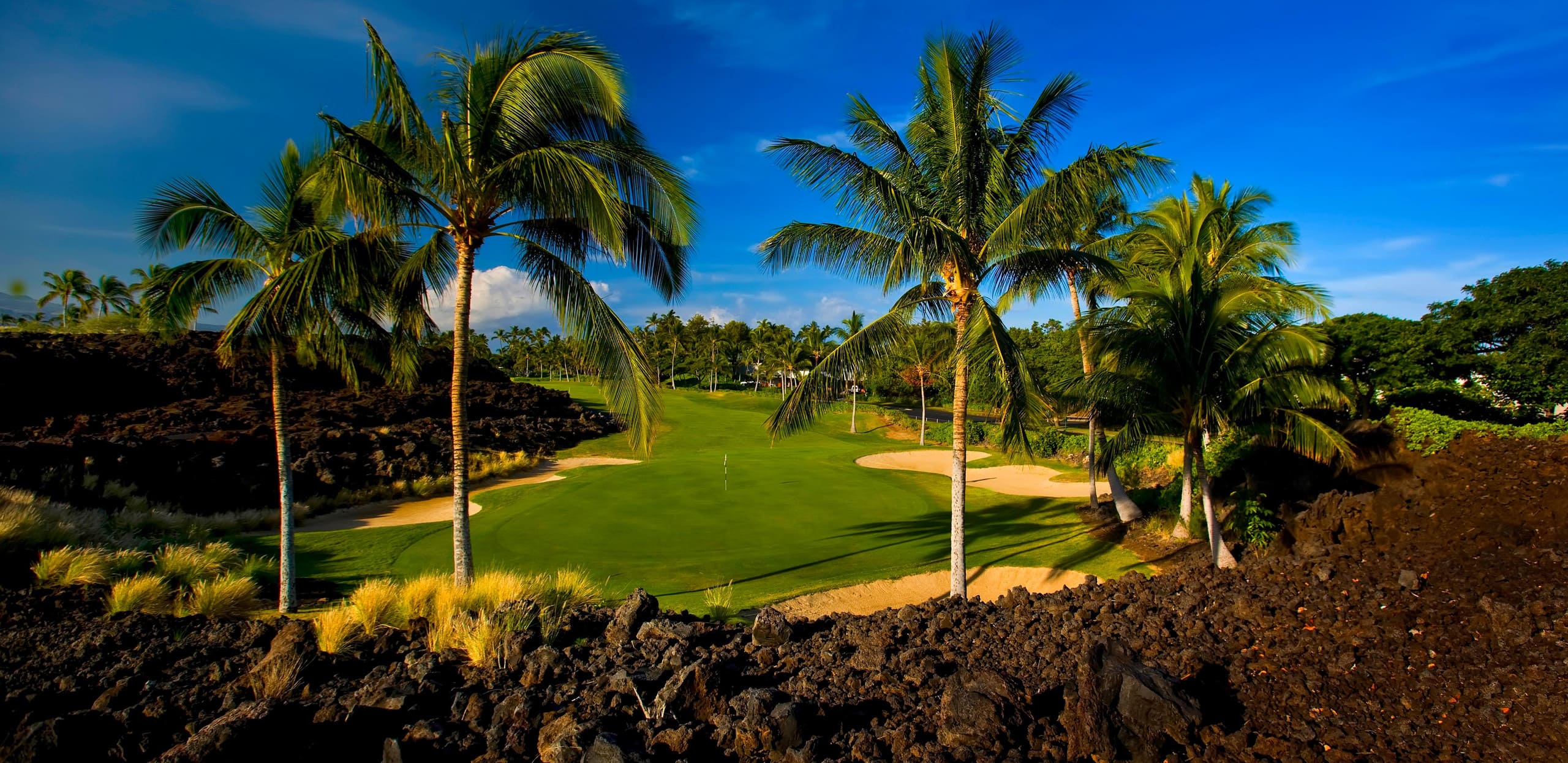 Fairway Villas Waikoloa J21 - Gold Golf Discount - Photo 7