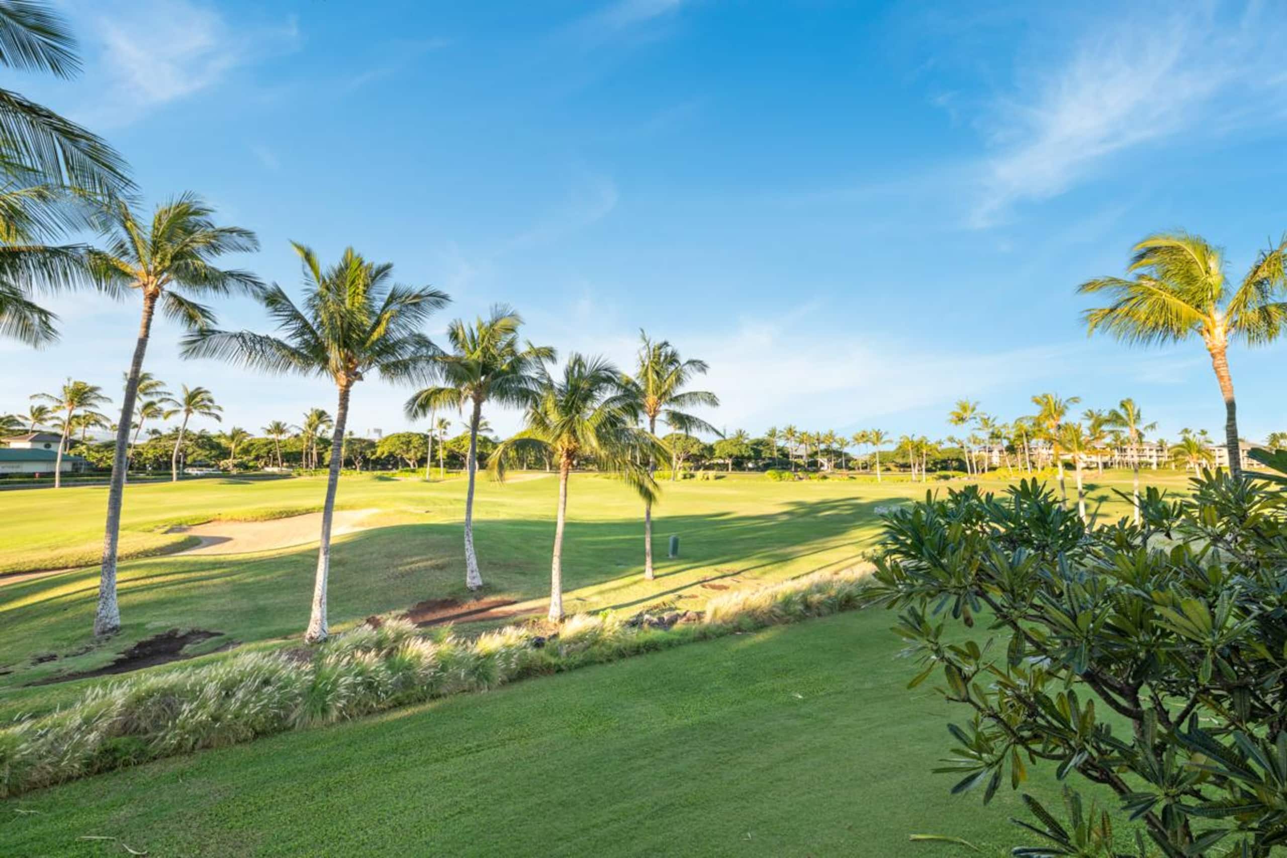 Fairway Villas Waikoloa J21 - Gold Golf Discount - Photo 56