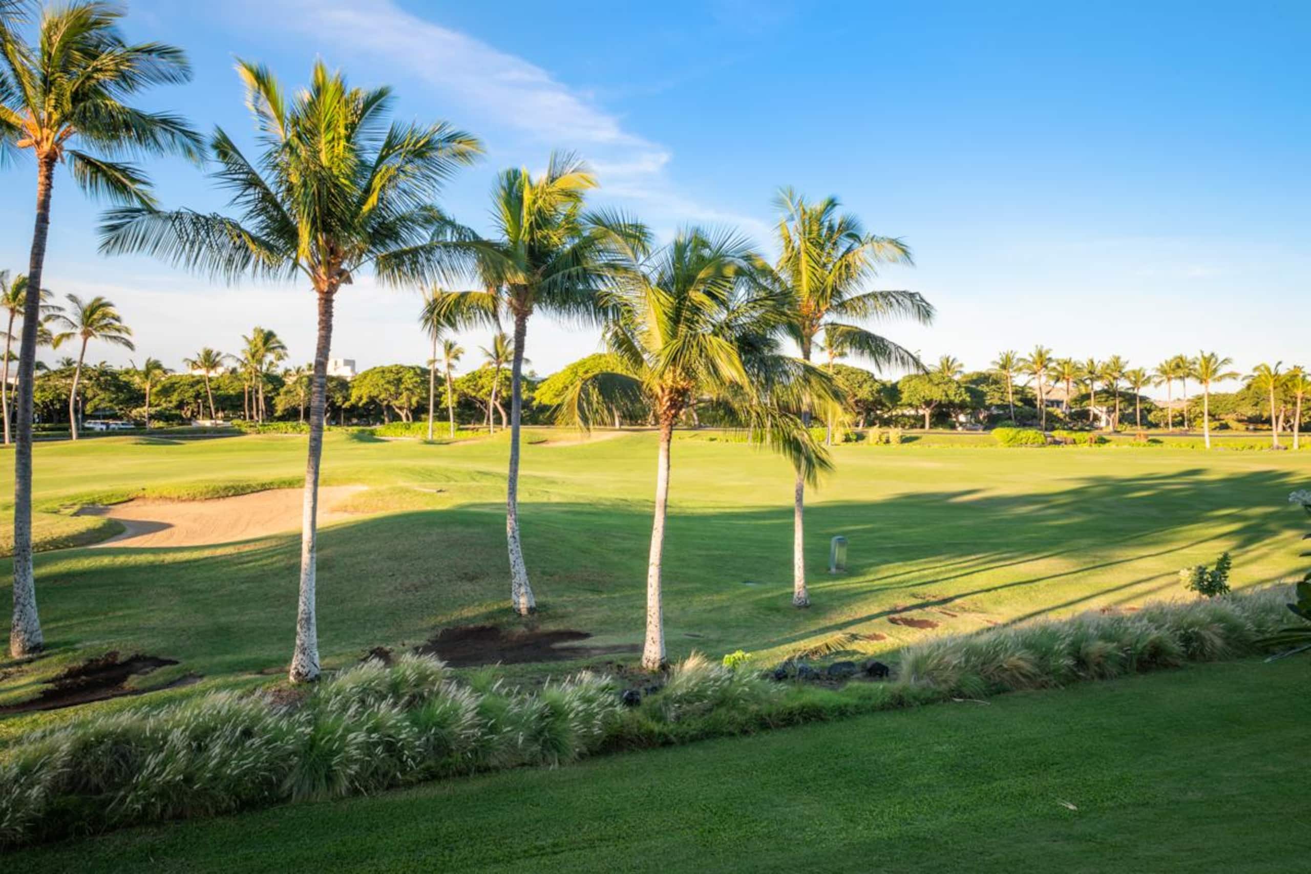 Fairway Villas Waikoloa J21 - Gold Golf Discount - Photo 57