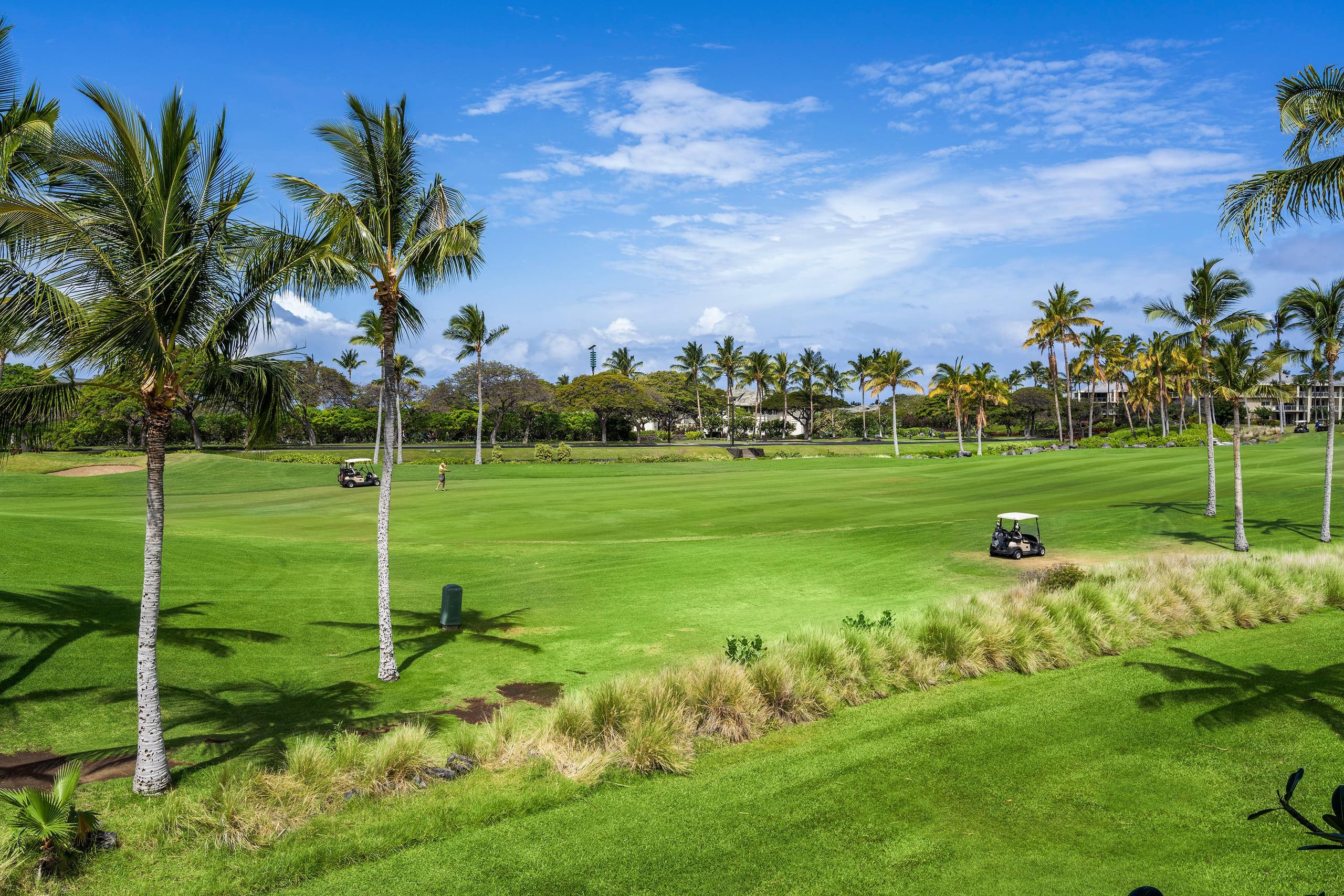 Fairway Villas Waikoloa J21 - Gold Golf Discount - Photo 60