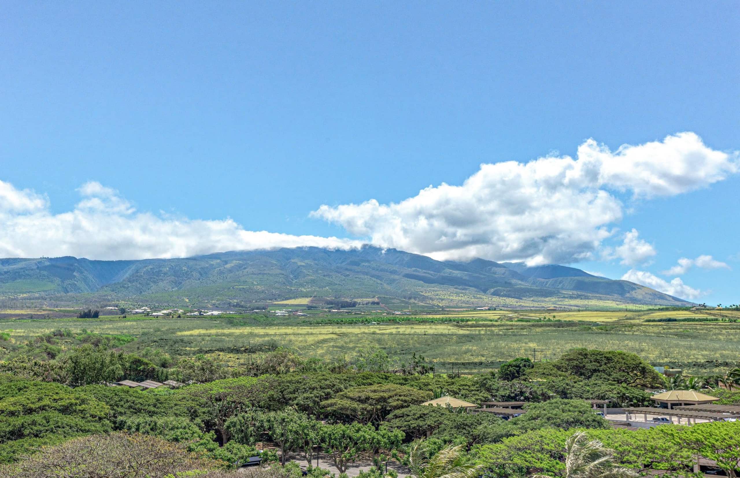 Condo in Lahaina · ★4.86 · 1 bedroom · 2 beds · 1 bath - Image 7