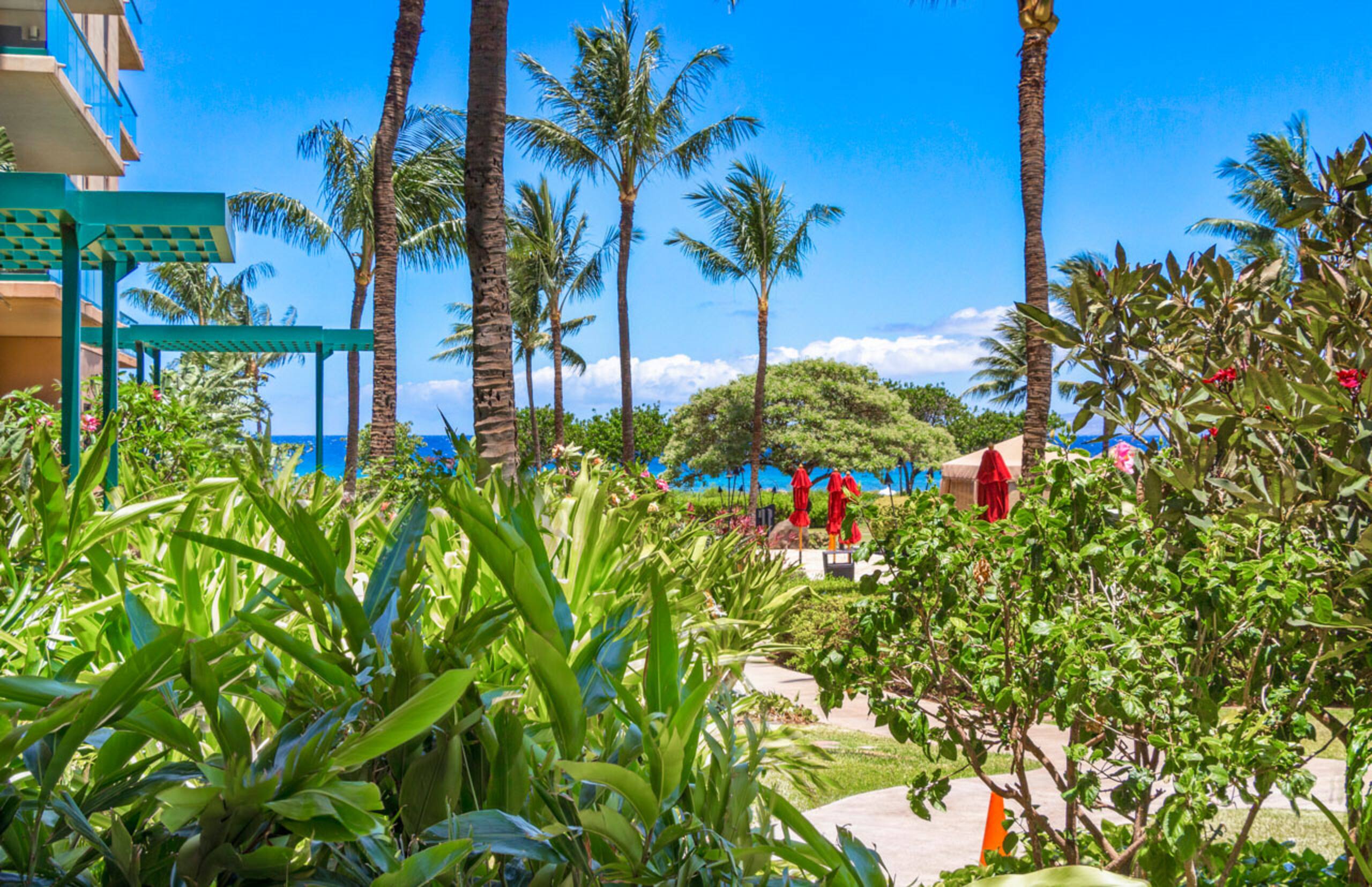 Condo in Lahaina · ★5.0 · 2 bedrooms · 3 beds · 2 baths - Image 6