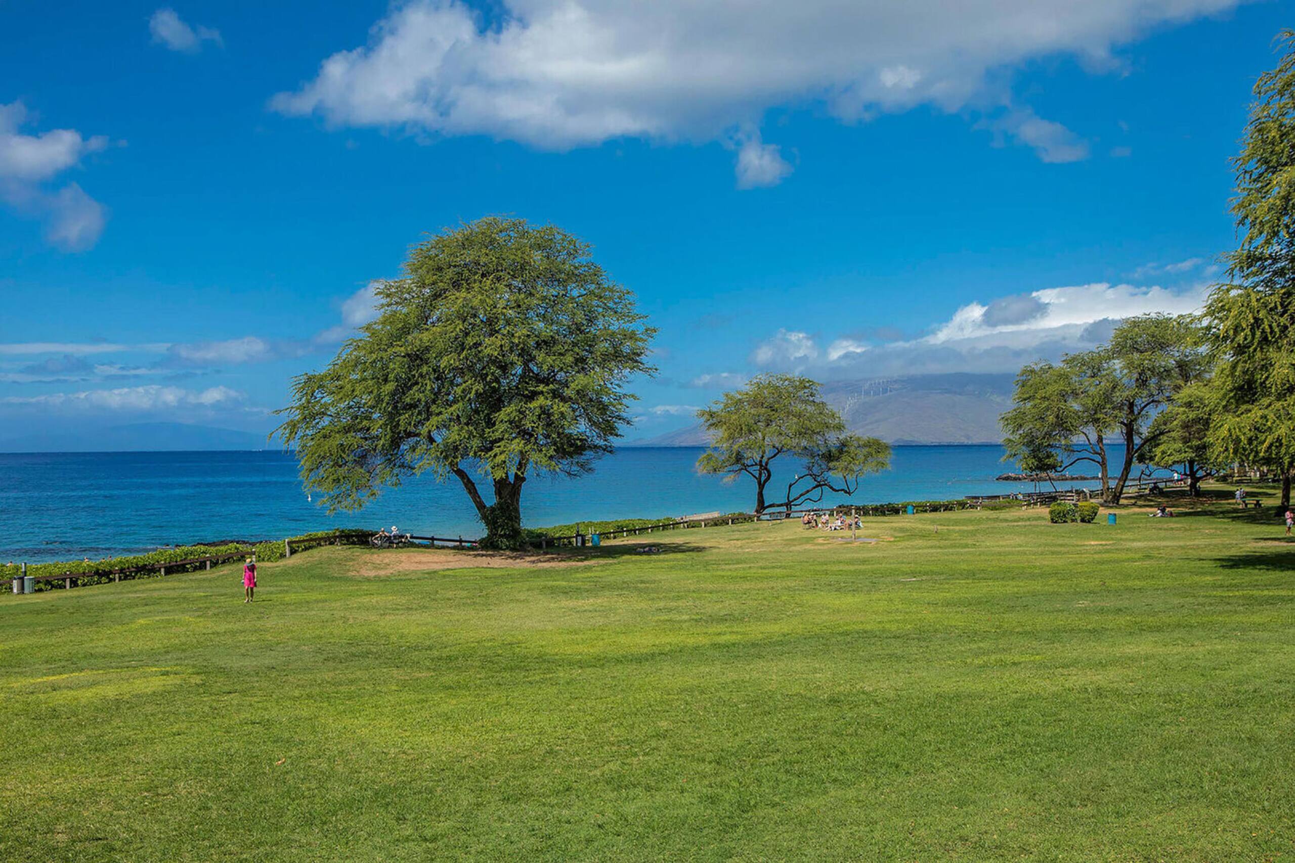 Condo in Kihei · ★5.0 · 2 bedrooms · 3 beds · 2 private baths - Image 77