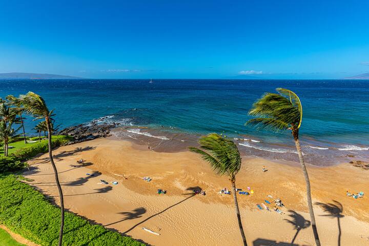 Oceanfront Elegance at Polo Beach Club 805! gallery image 4