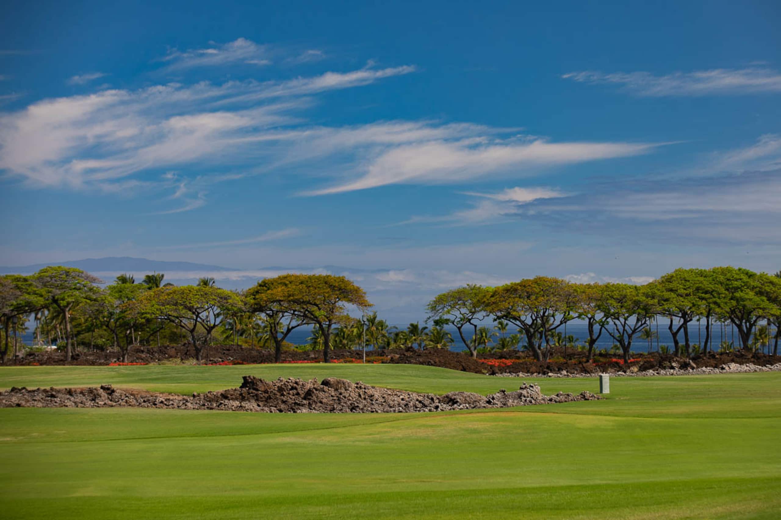 Home in Waimea · ★5.0 · 4 bedrooms · 6 beds · 4.5 baths - Image 45