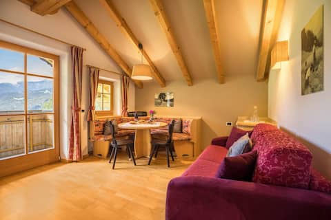 Oberplunerhof - Apartment Gitschberg