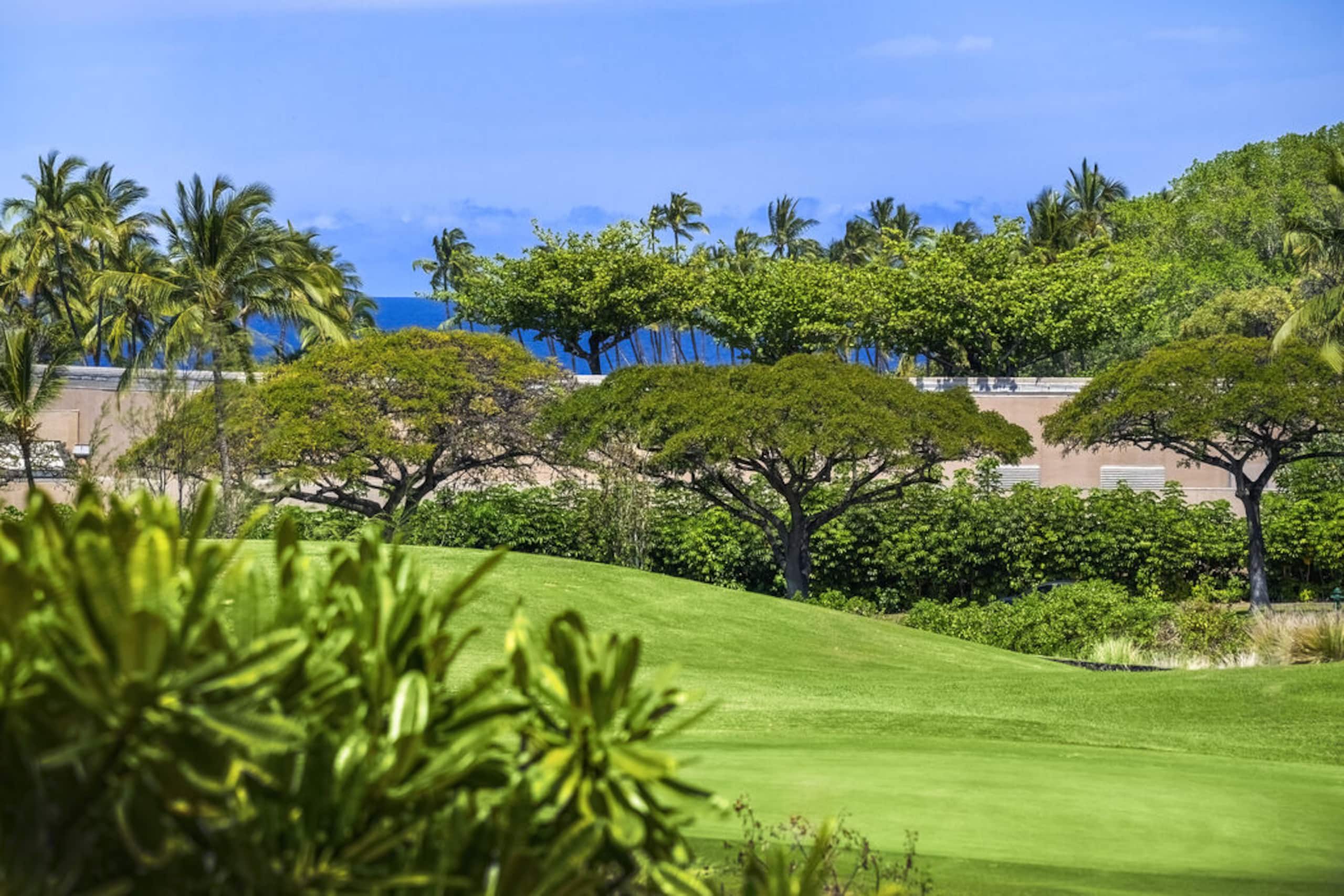 Waikoloa Condo w/ Large Lanai + Golf Views - Photo 35
