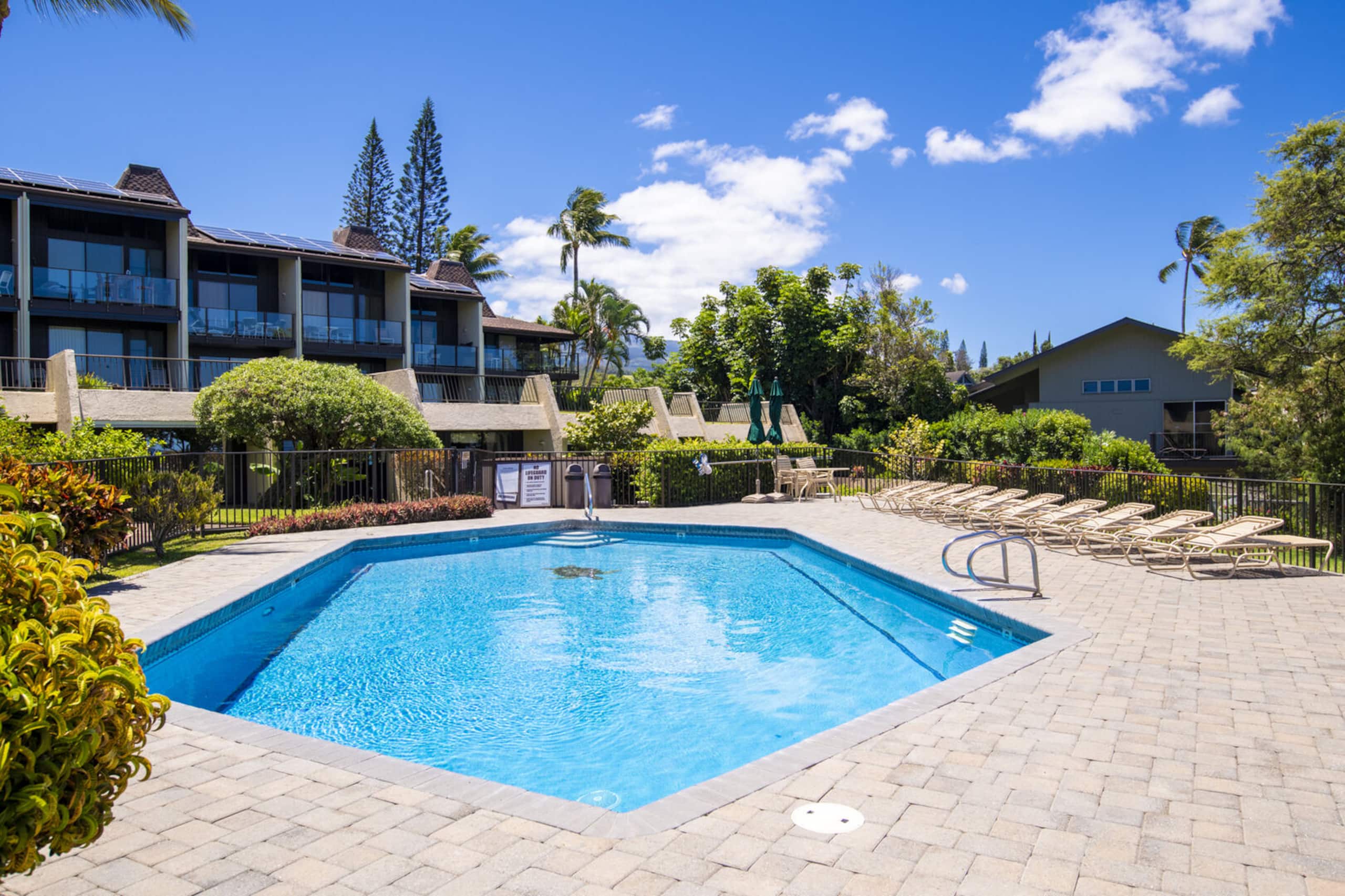 Condo in Lahaina · ★4.72 · 1 bedroom · 2 beds · 1 private bath - Image 25