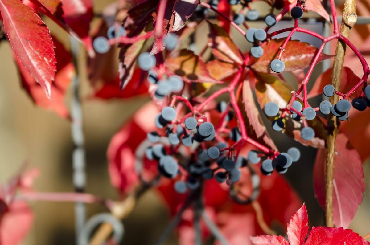 Airbnb performant: Apartment with private terrace à Waren (Müritz)