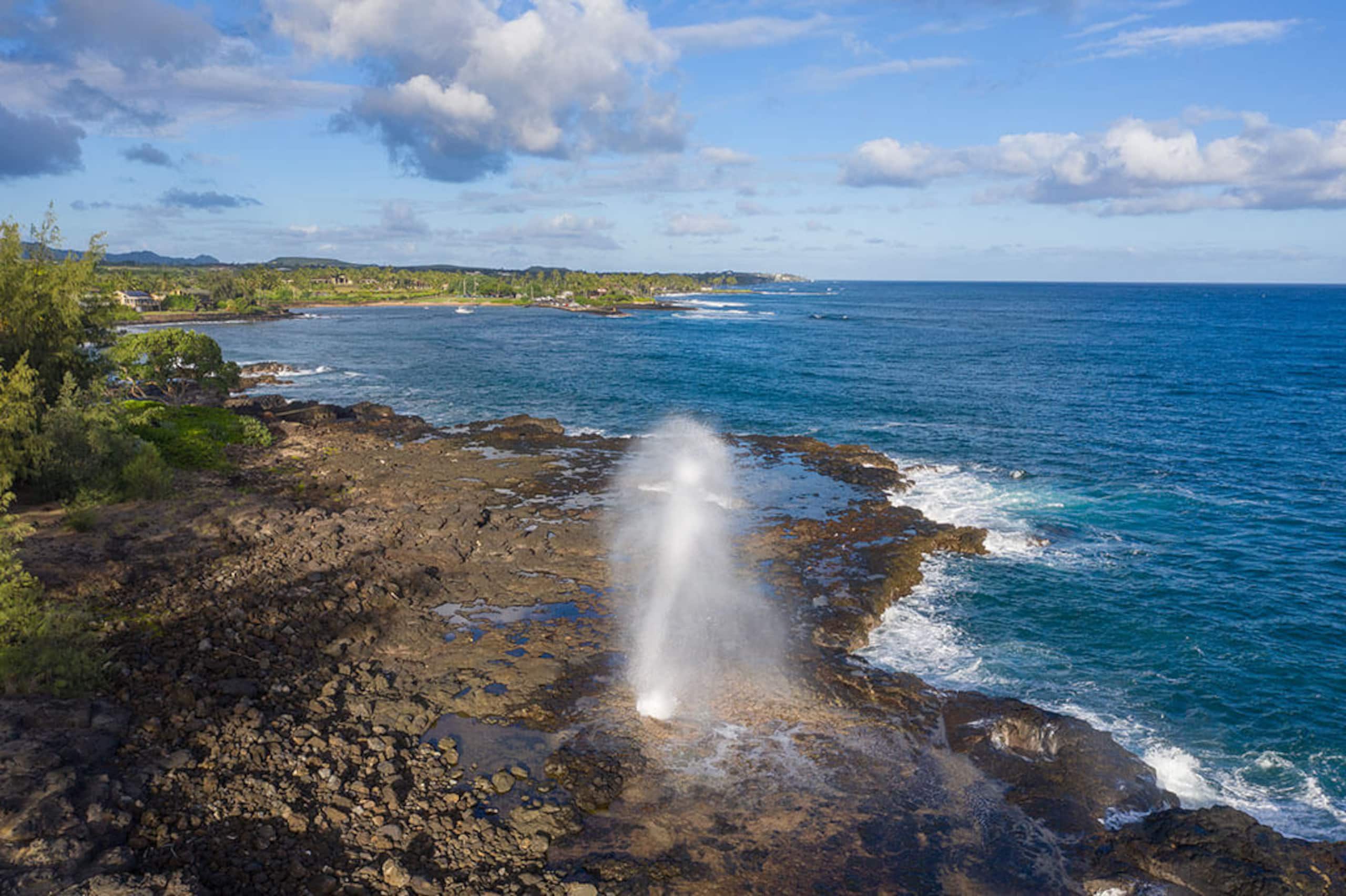 Condo in Koloa · ★4.82 · 3 bedrooms · 4 beds · 2.5 private baths - Image 50