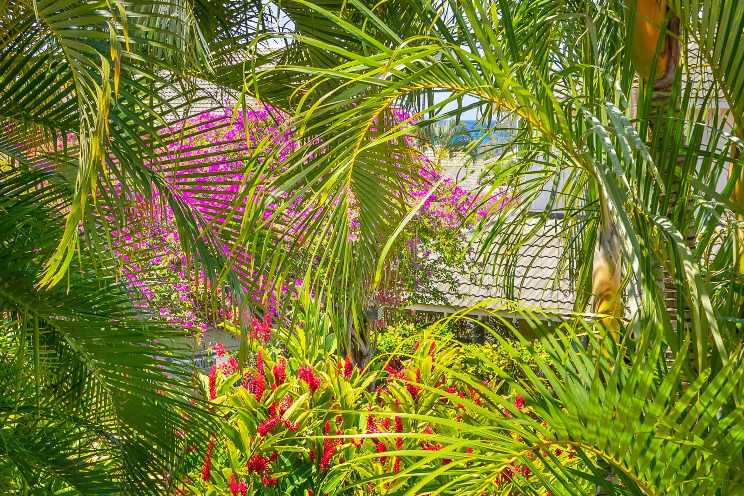 Condo in Koloa · ★4.93 · 2 bedrooms · 3 beds · 2.5 baths - Image 67