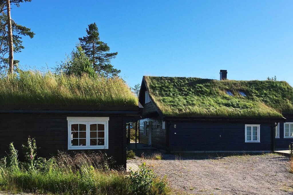 Two holiday homes are shown, featuring distinct green grass roofs. The structures are constructed with dark wood accents, and large windows allow natural light to illuminate the interiors. Surrounding trees and open skies contribute to a serene outdoor setting.