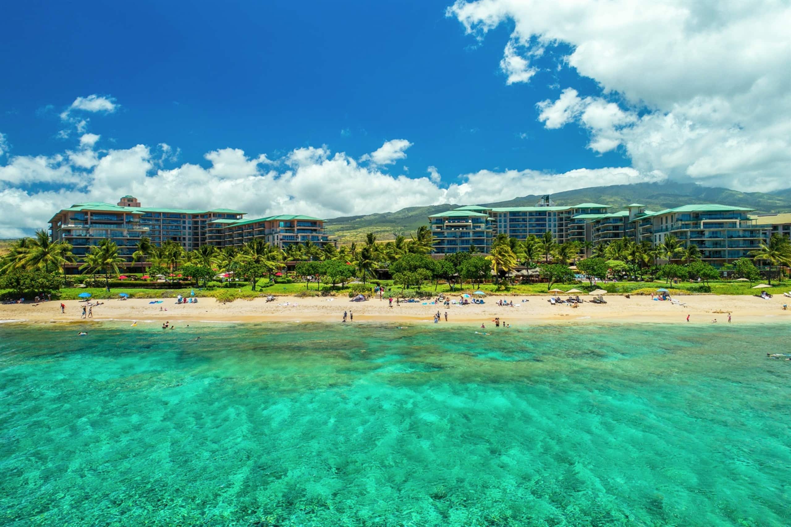 Villa in Lahaina · ★4.97 · 3 bedrooms · 4 beds · 3 baths - Image 32