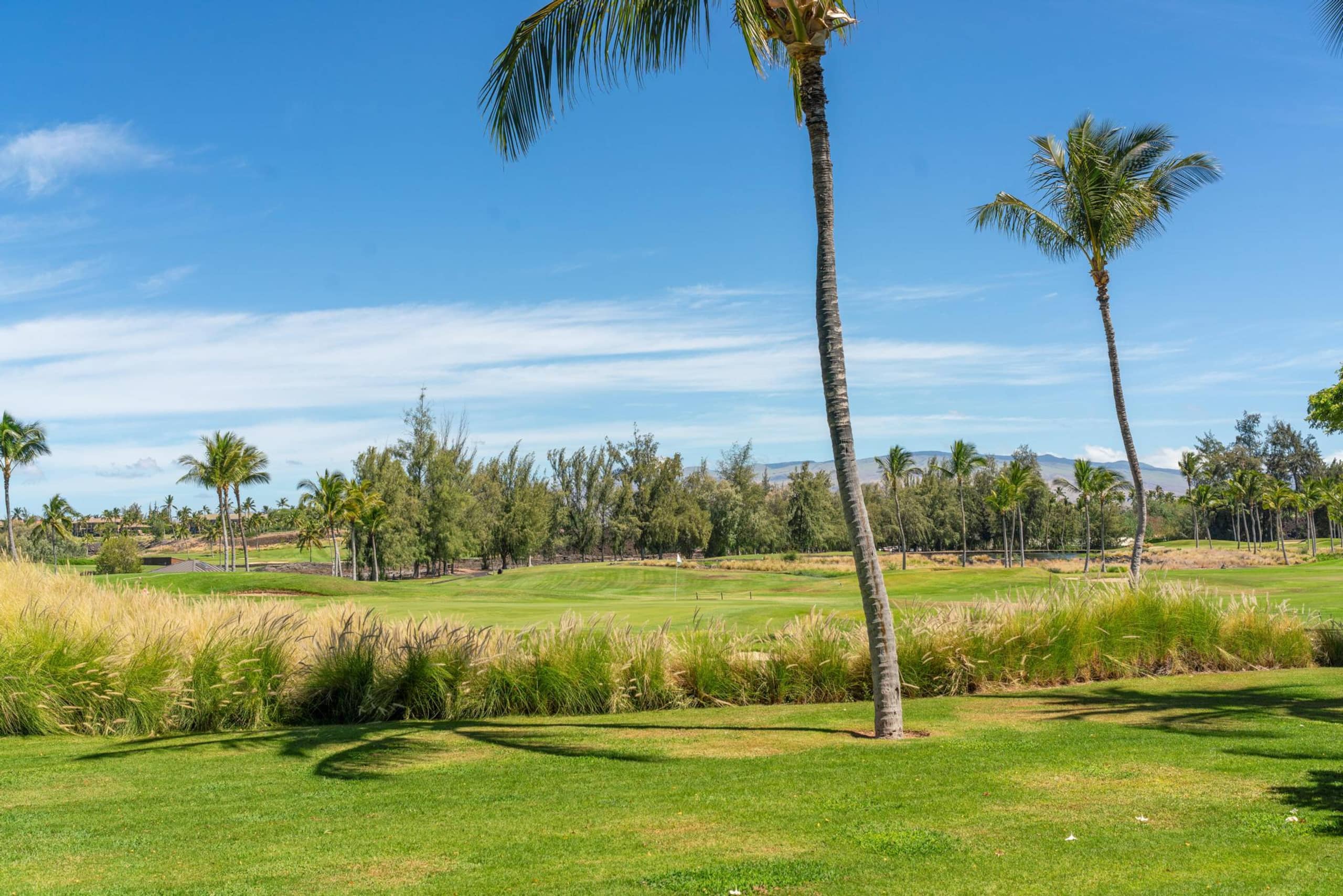 Waikoloa Beach Villas G3. Includes Beach Gear - Photo 48