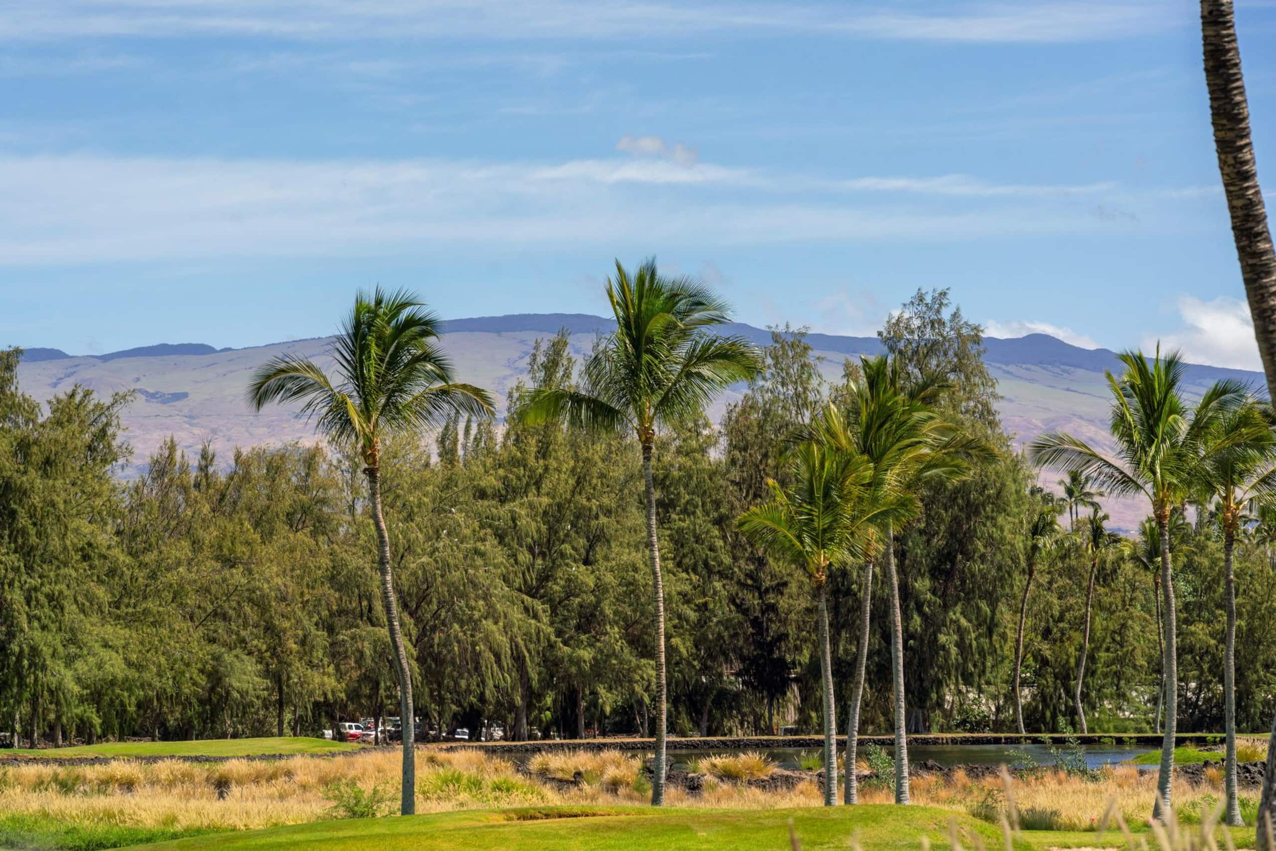 Waikoloa Beach Villas G3. Includes Beach Gear - Photo 49
