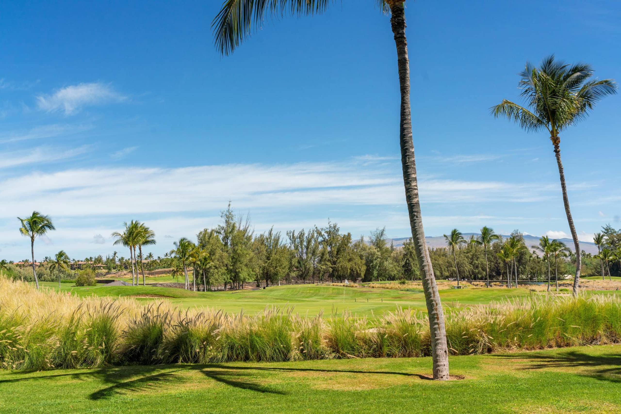 Waikoloa Beach Villas G3. Includes Beach Gear - Photo 51