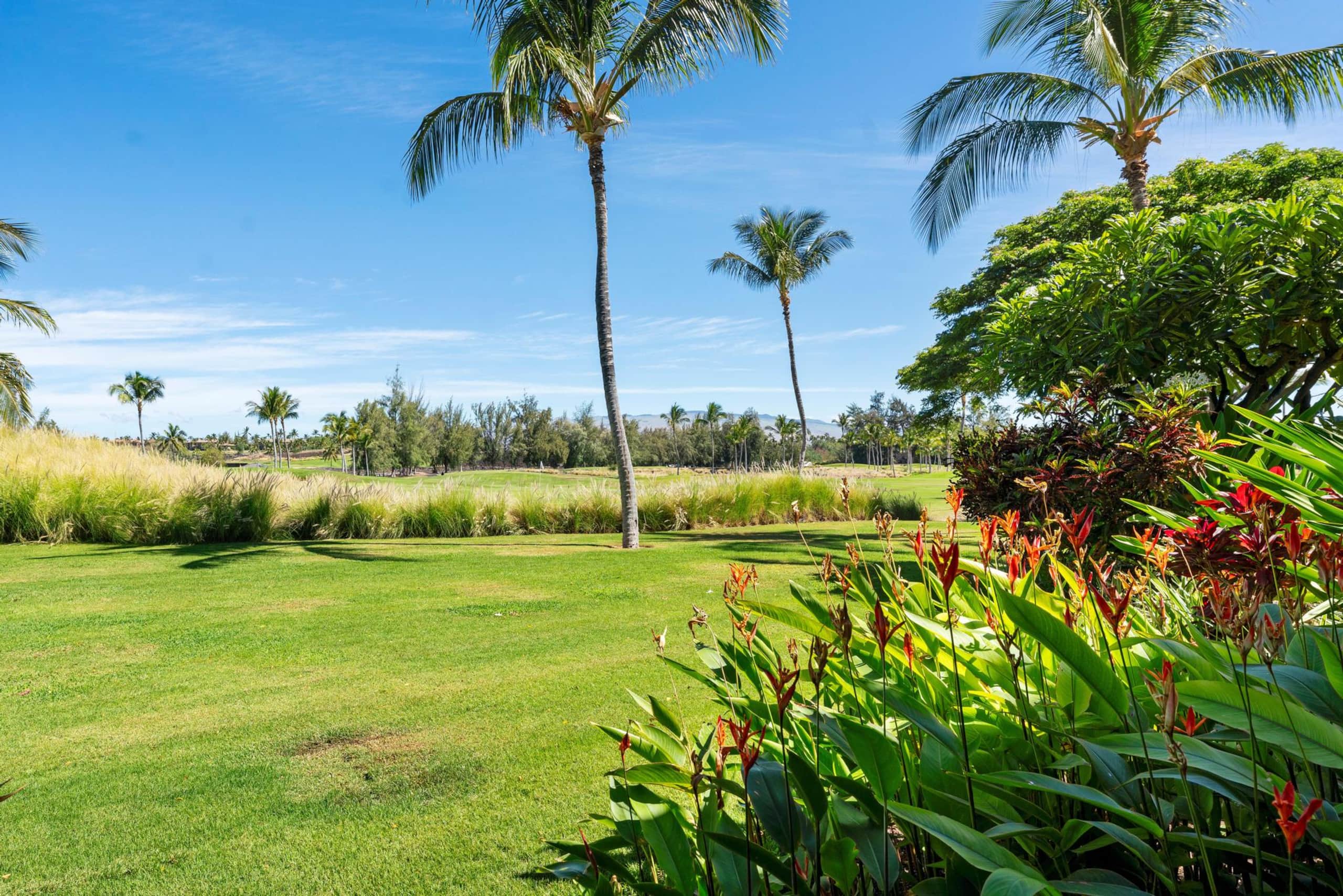 Waikoloa Beach Villas G3. Includes Beach Gear - Photo 43