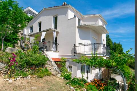 Top performing Airbnb: Apartment Marija ( 77991-A1 ) in Čelina