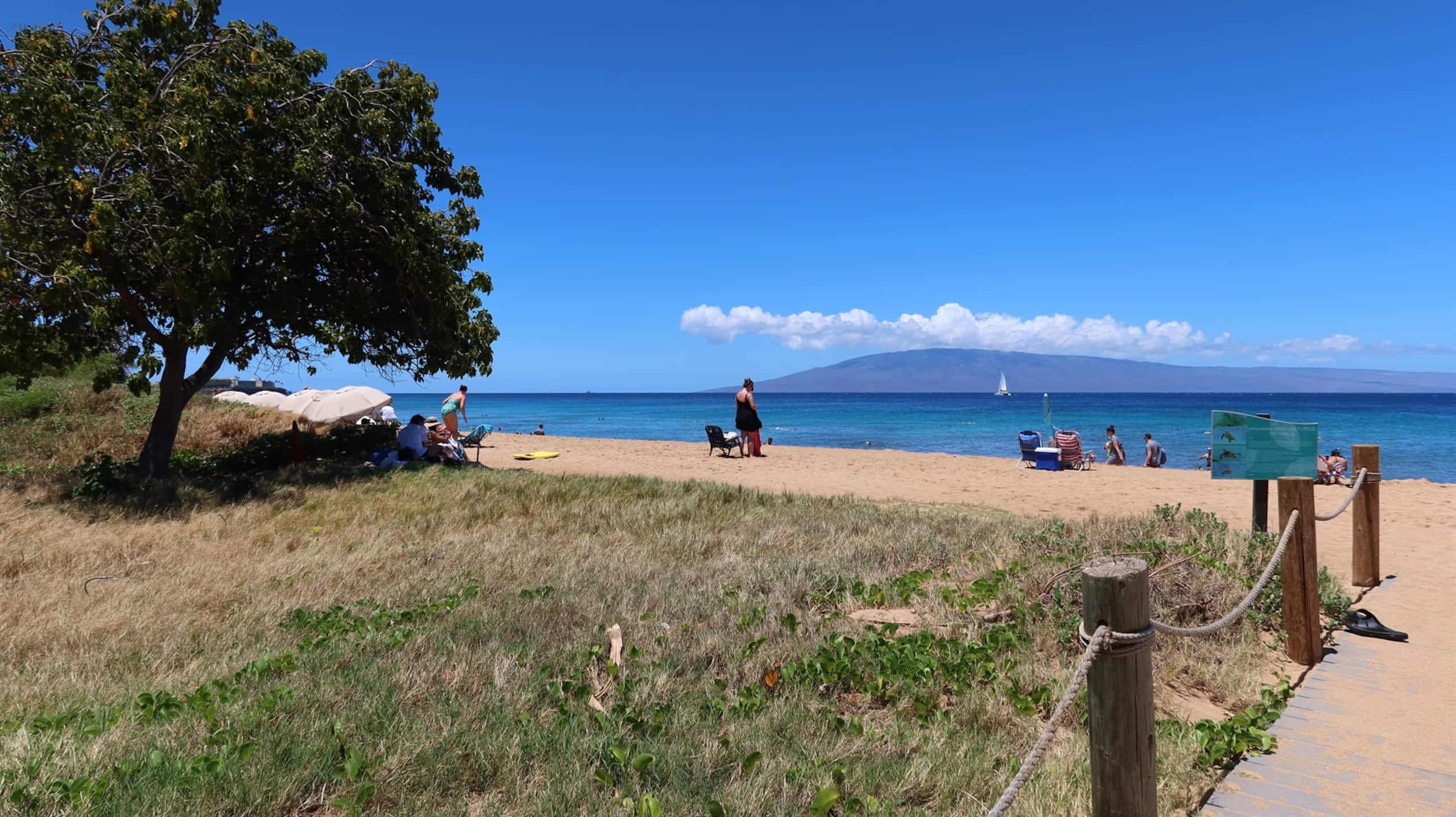 Villa in Kaanapali · ★5.0 · 3 bedrooms · 4 beds · 3 baths - Photo 64