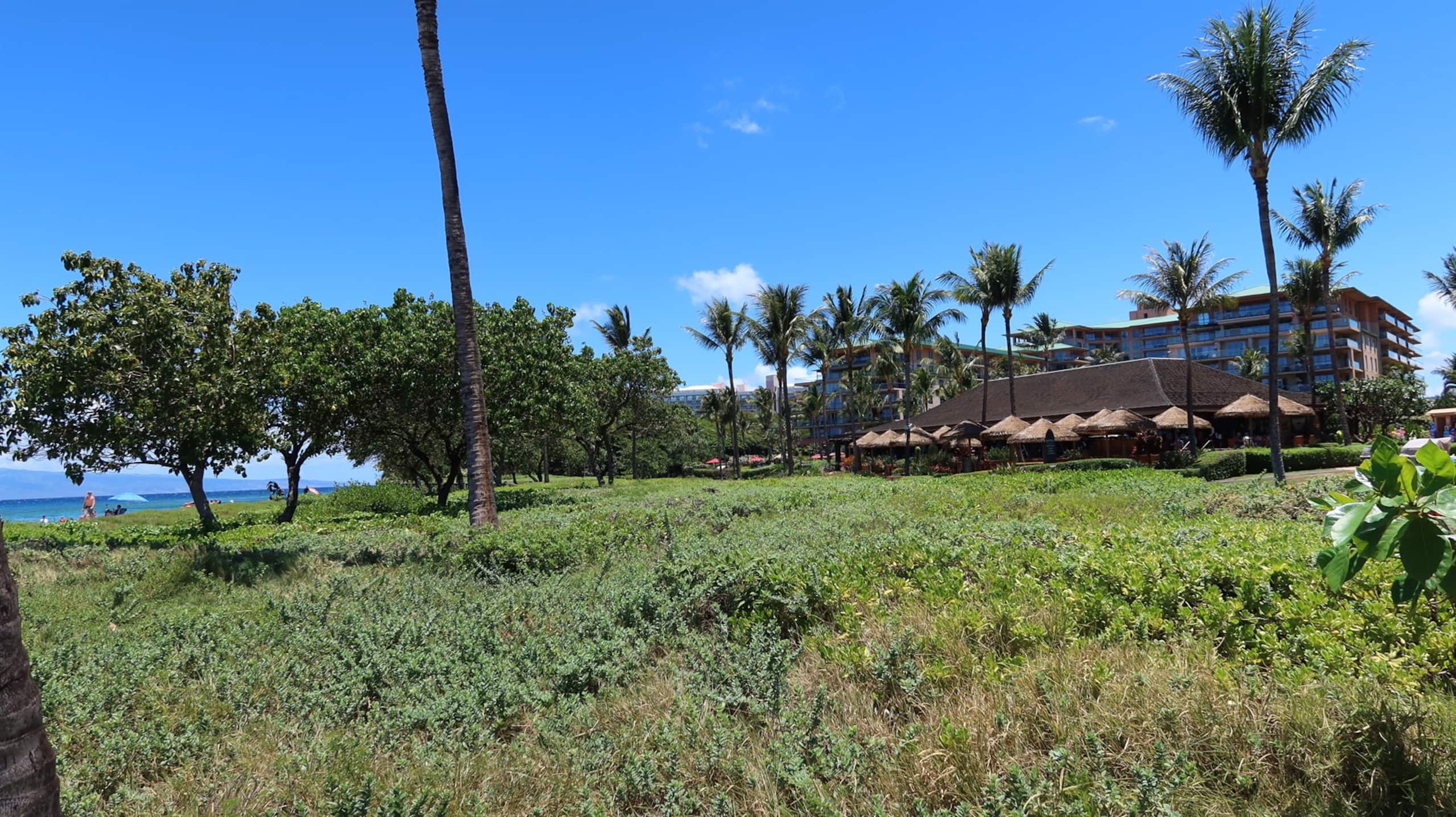 Villa in Kaanapali · ★5.0 · 3 bedrooms · 4 beds · 3 baths - Photo 66