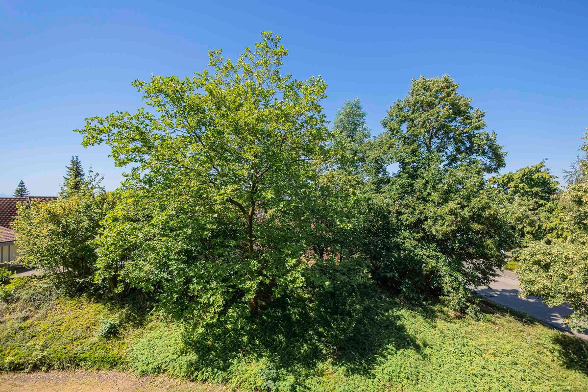 Leistungsstarkes Airbnb: Vacation home park Immenstaad on Lake Constance One-room-A in Immenstaad Am Bodensee