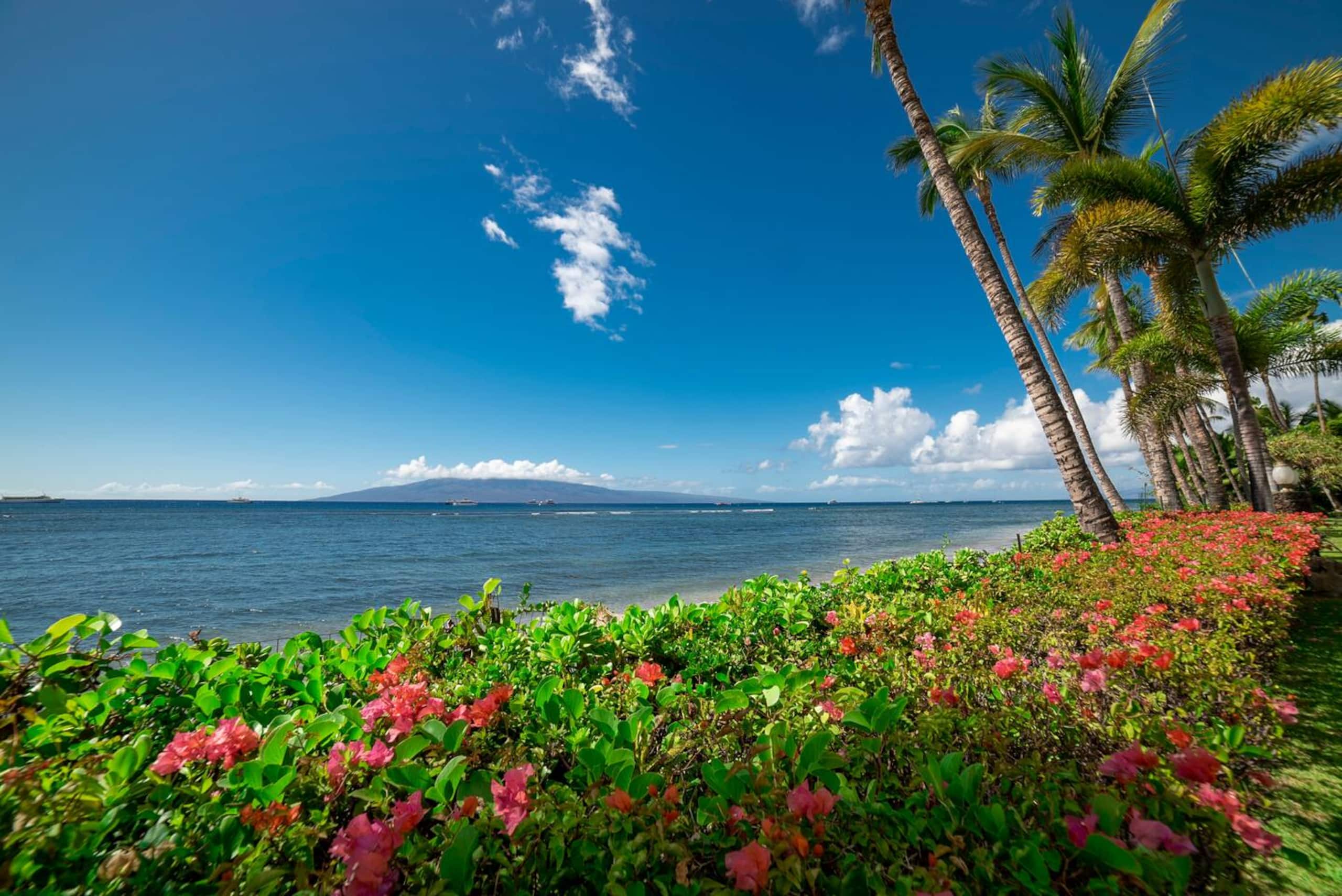 Lahaina Shores Beach Resort Studio - Image 25