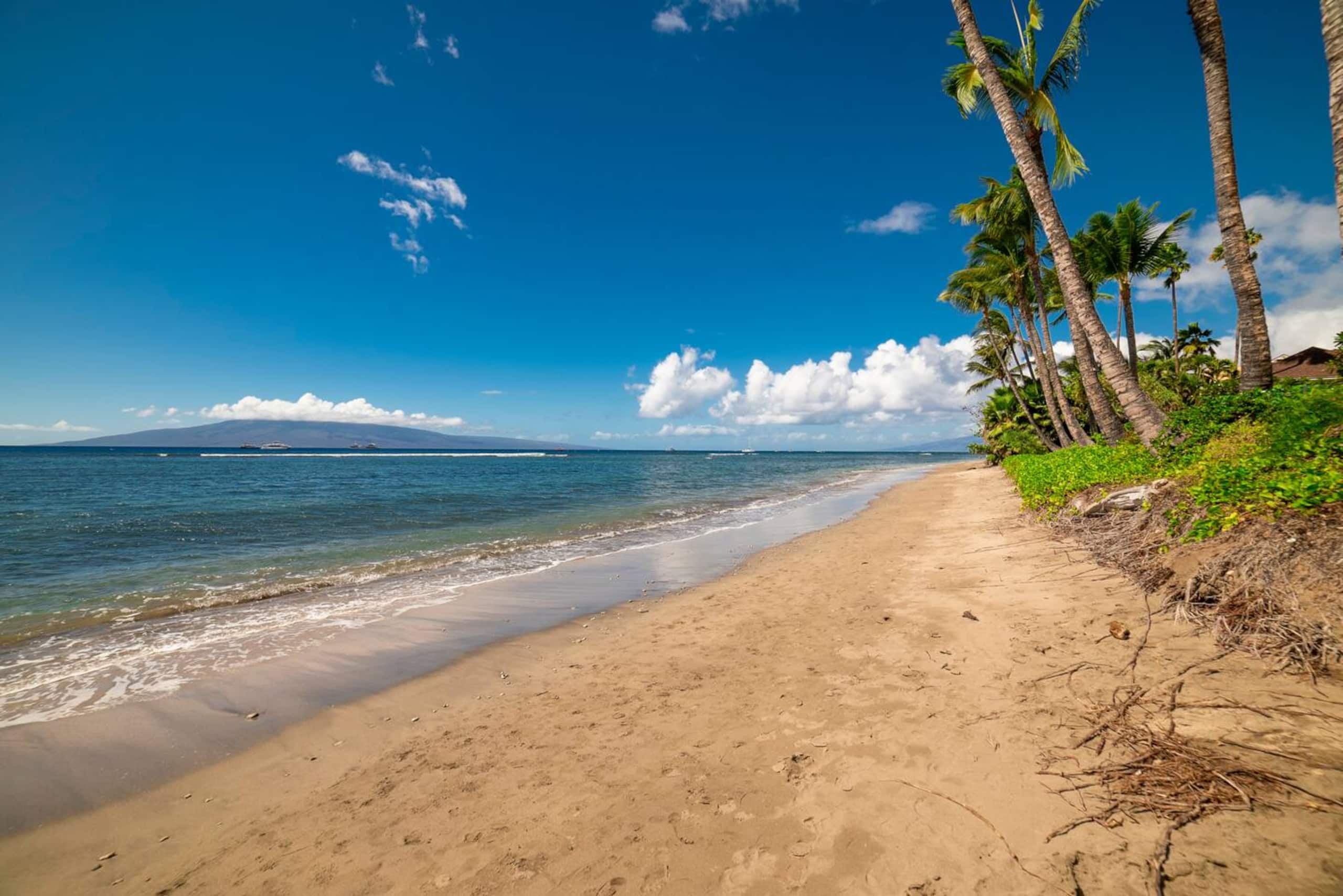 Lahaina Shores Beach Resort Studio - Image 23
