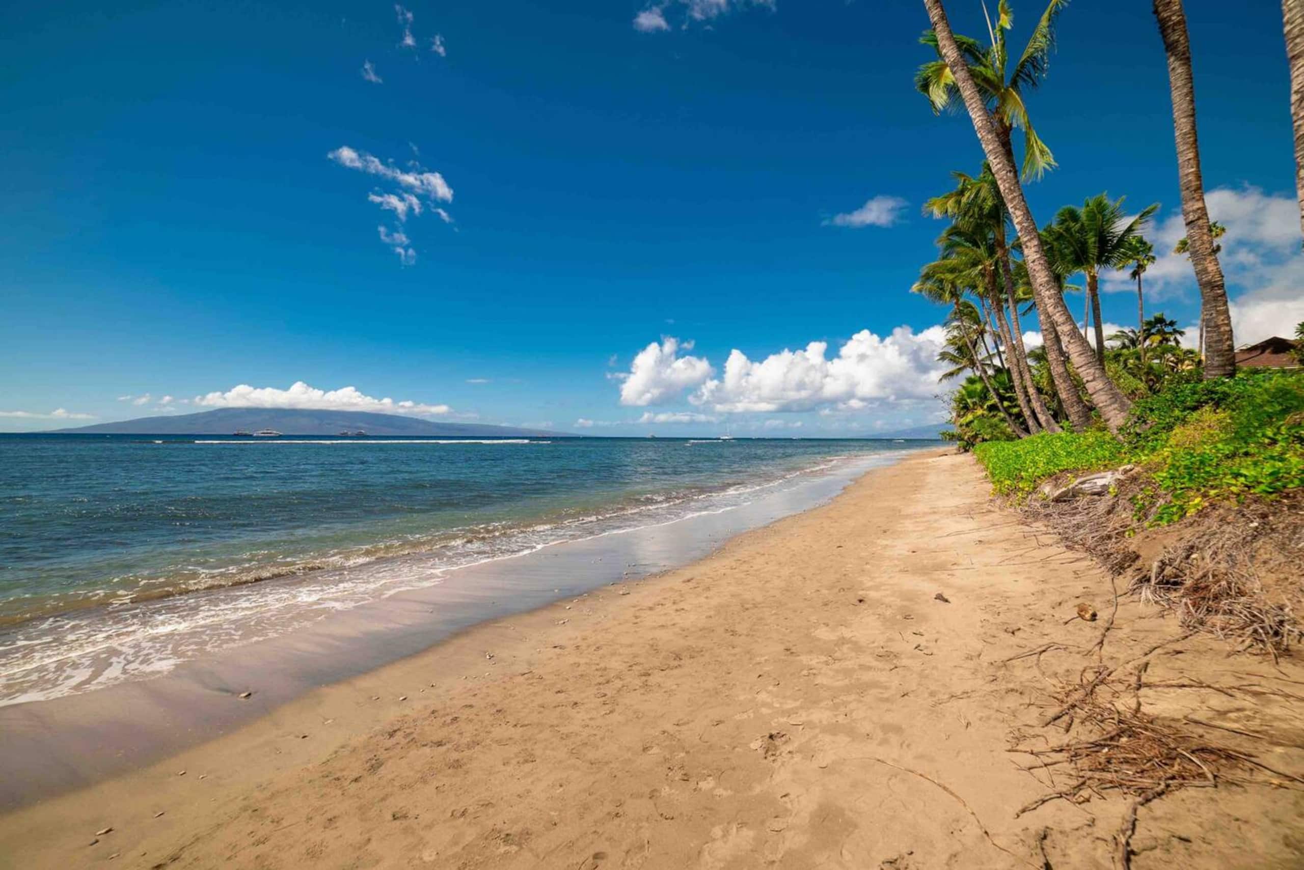 Lahaina Shores Beach Resort Studio - Image 14