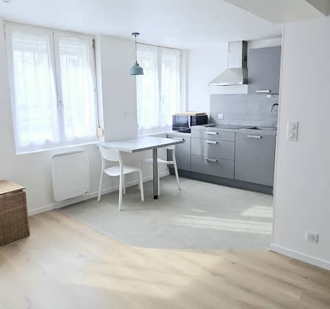 Moulins Studio in the heart of Saint Dizier