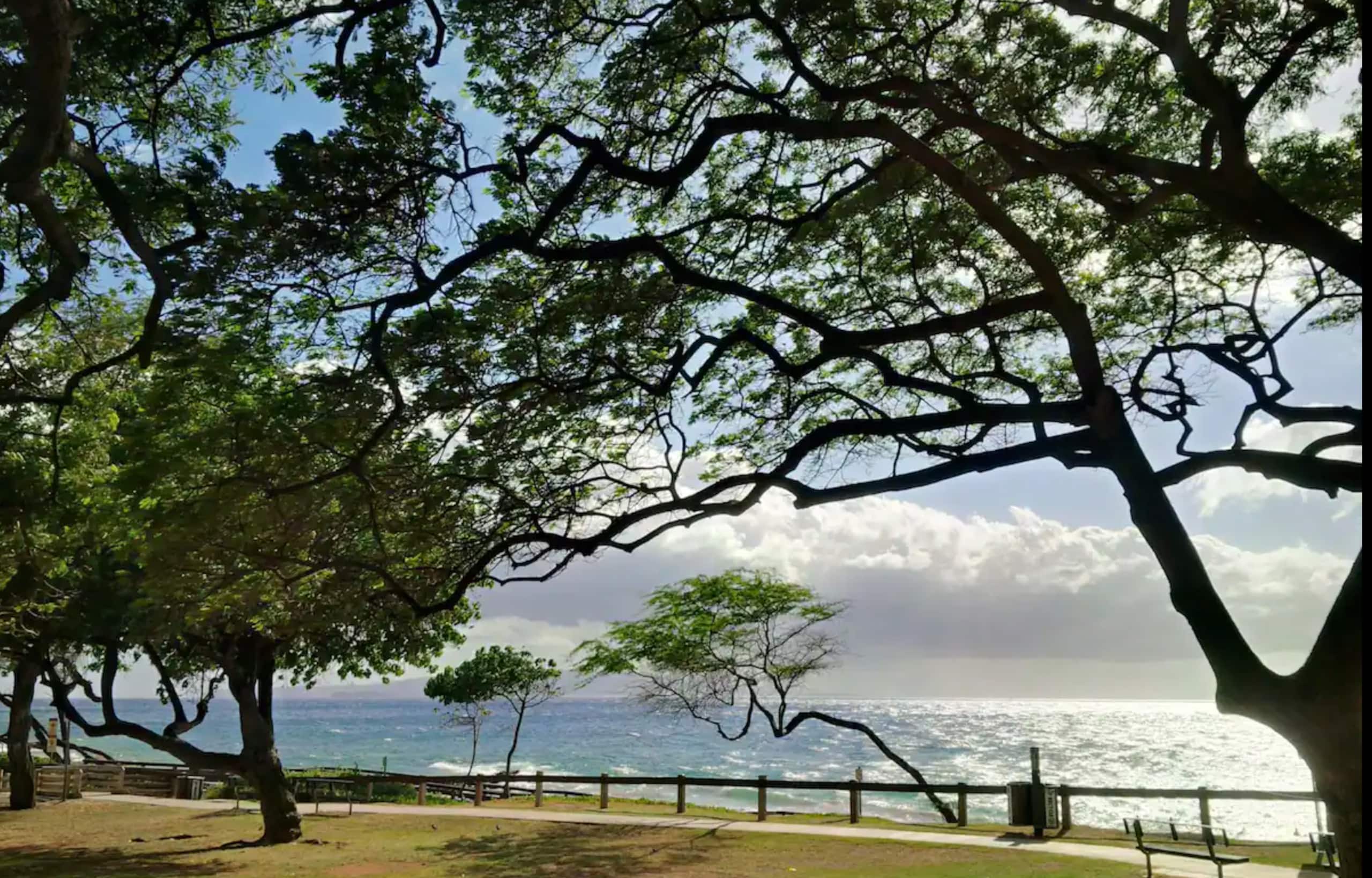 Condo in Kihei · ★4.99 · 1 bedroom · 3 beds · 2 baths - Image 41