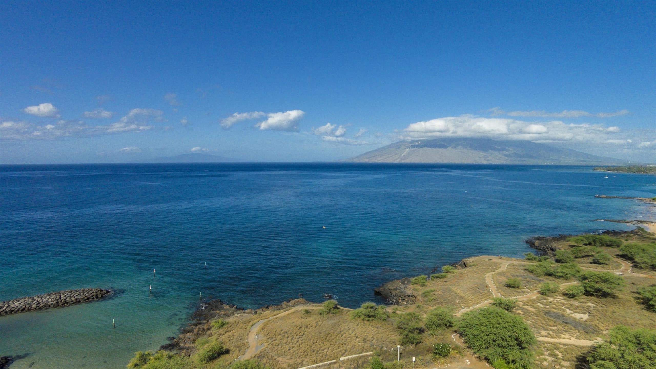 Condo in Kihei · ★4.99 · 1 bedroom · 3 beds · 2 baths - Image 49