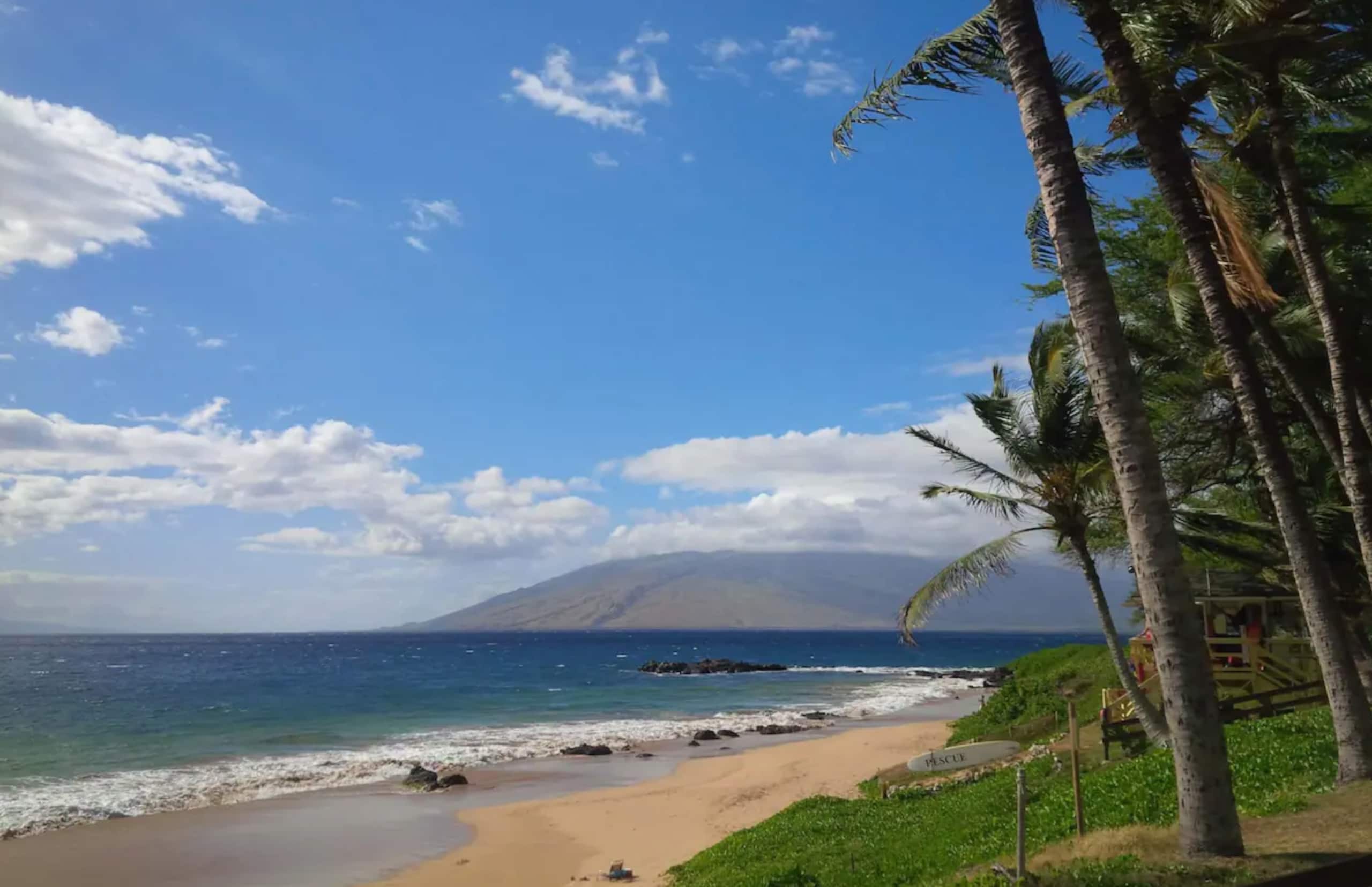 Condo in Kihei · ★4.99 · 1 bedroom · 3 beds · 2 baths - Image 42