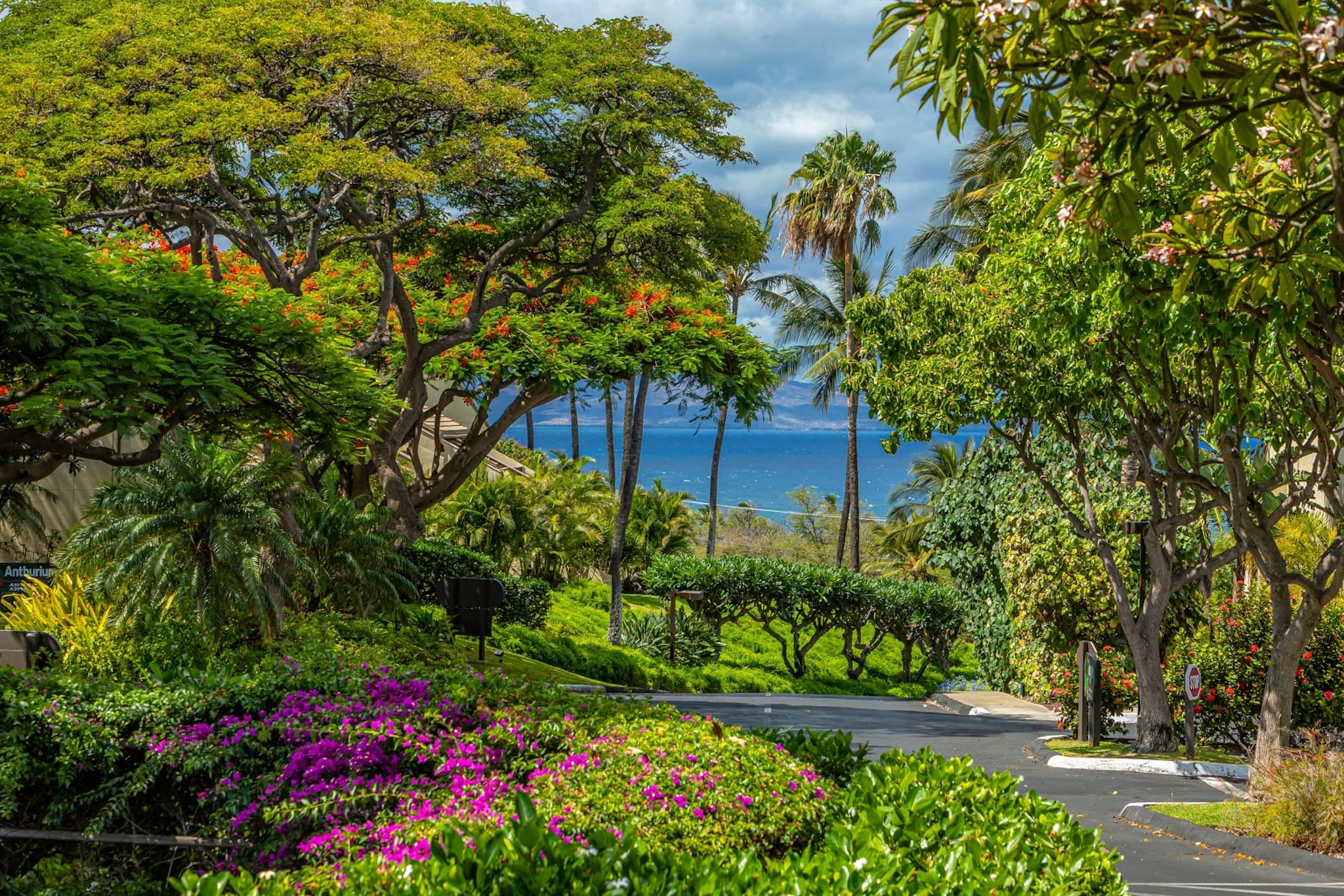Condo in Kihei · ★4.99 · 1 bedroom · 3 beds · 2 baths - Image 1
