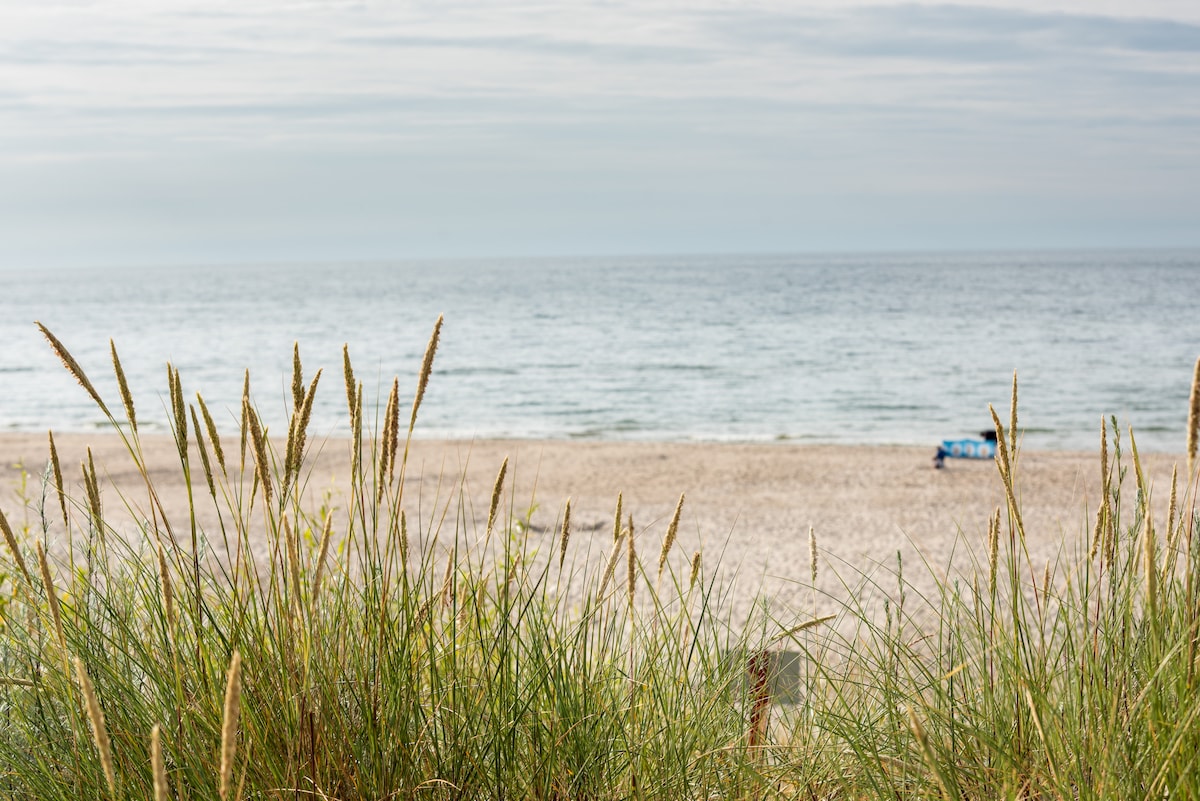 A view of a tranquil beach is framed by tall grass, hinting at the sandy shore and calm ocean. The horizon meets the sky, with soft waves lapping at the beach. A distant blue object is visible on the sand, contributing to a serene coastal scene.