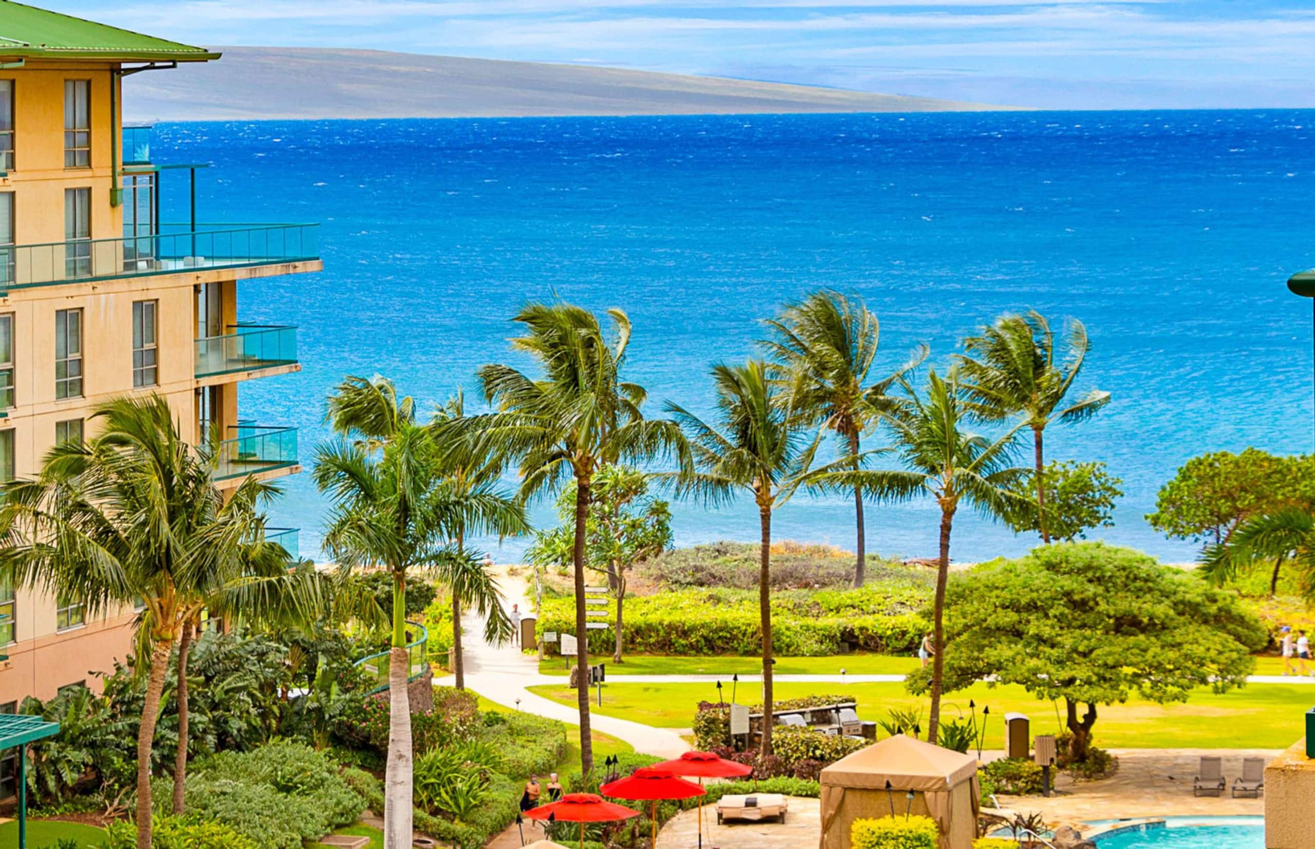Condo in Lahaina · ★4.89 · Studio · 2 beds · 1 bath - Image 8