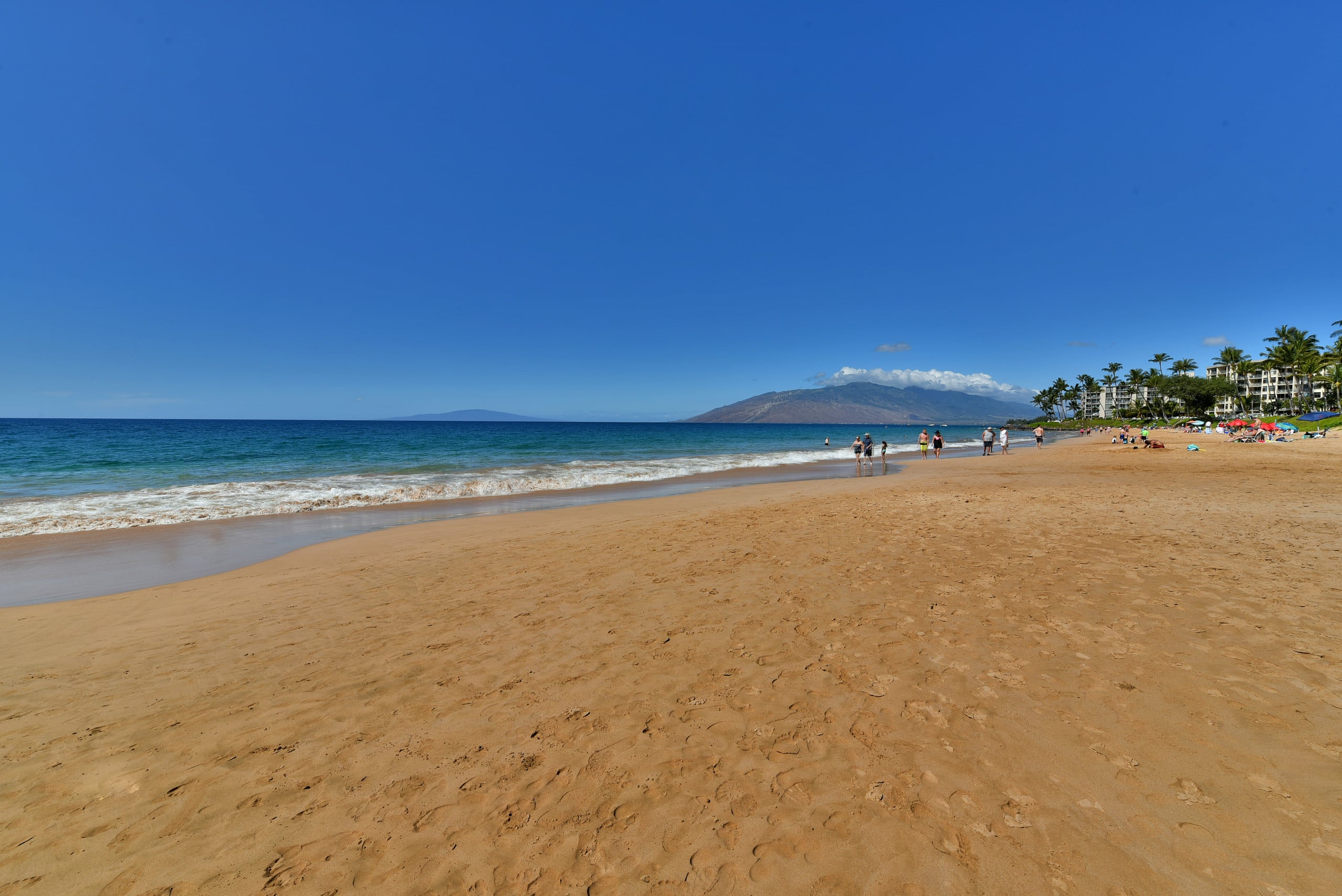 Condo in Kihei · ★4.56 · 2 bedrooms · 4 beds · 2 private baths - Image 31