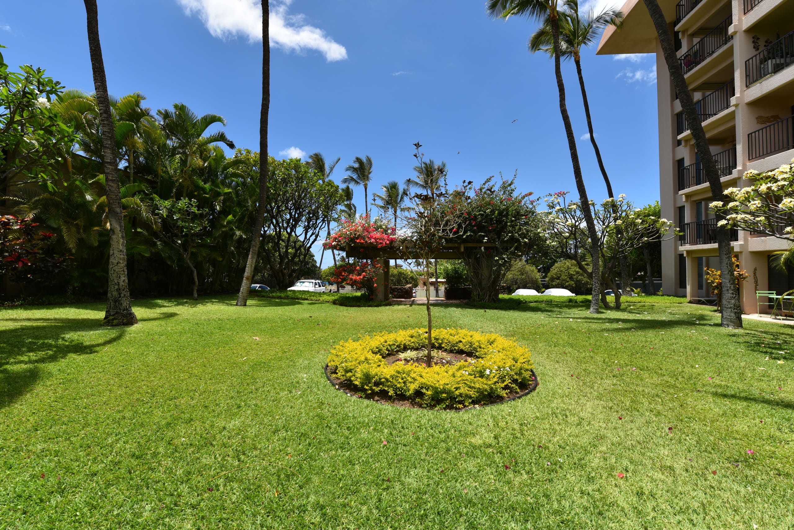 Condo in Kihei · ★4.56 · 2 bedrooms · 4 beds · 2 private baths - Image 27