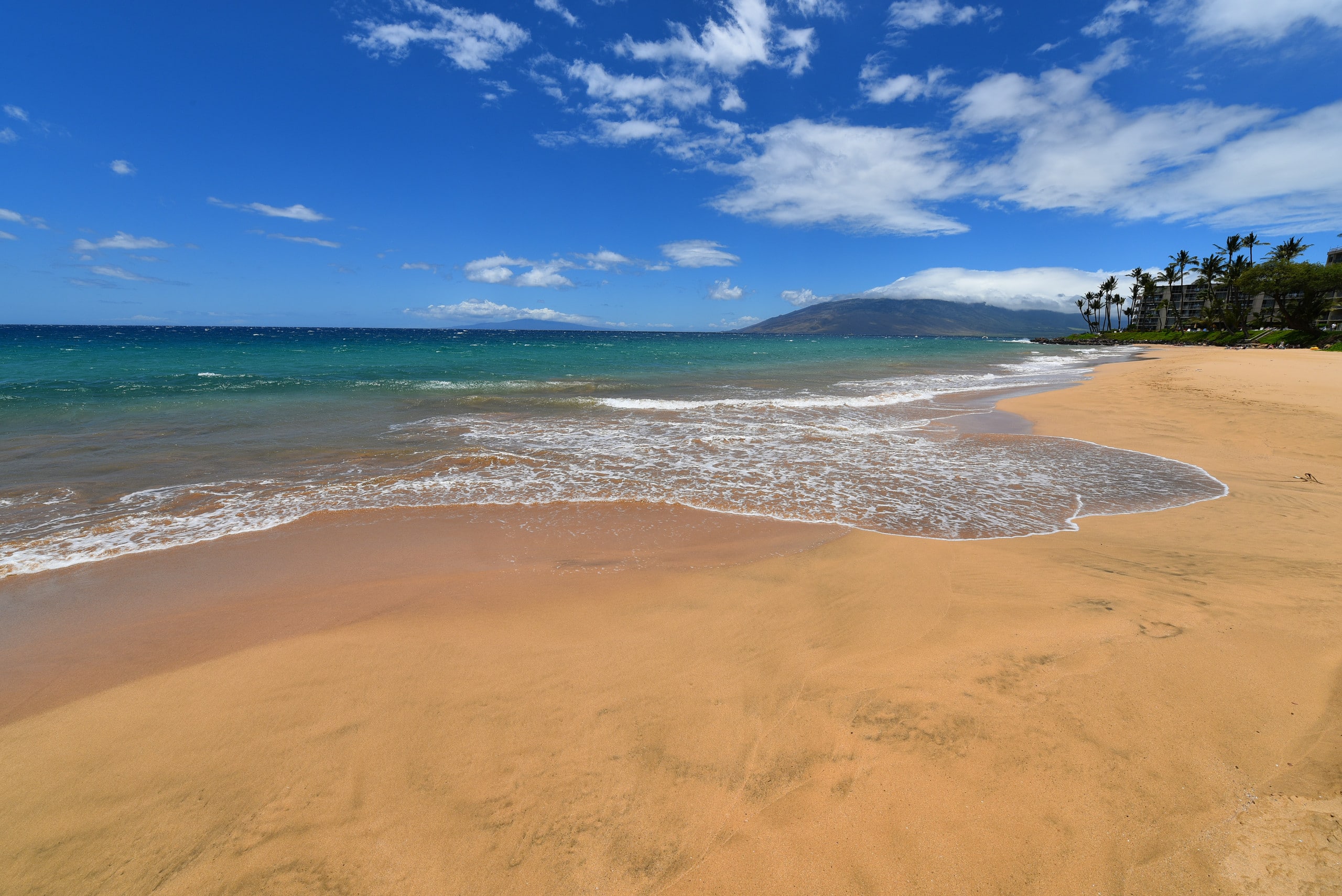 Condo in Kihei · ★4.56 · 2 bedrooms · 4 beds · 2 private baths - Image 32