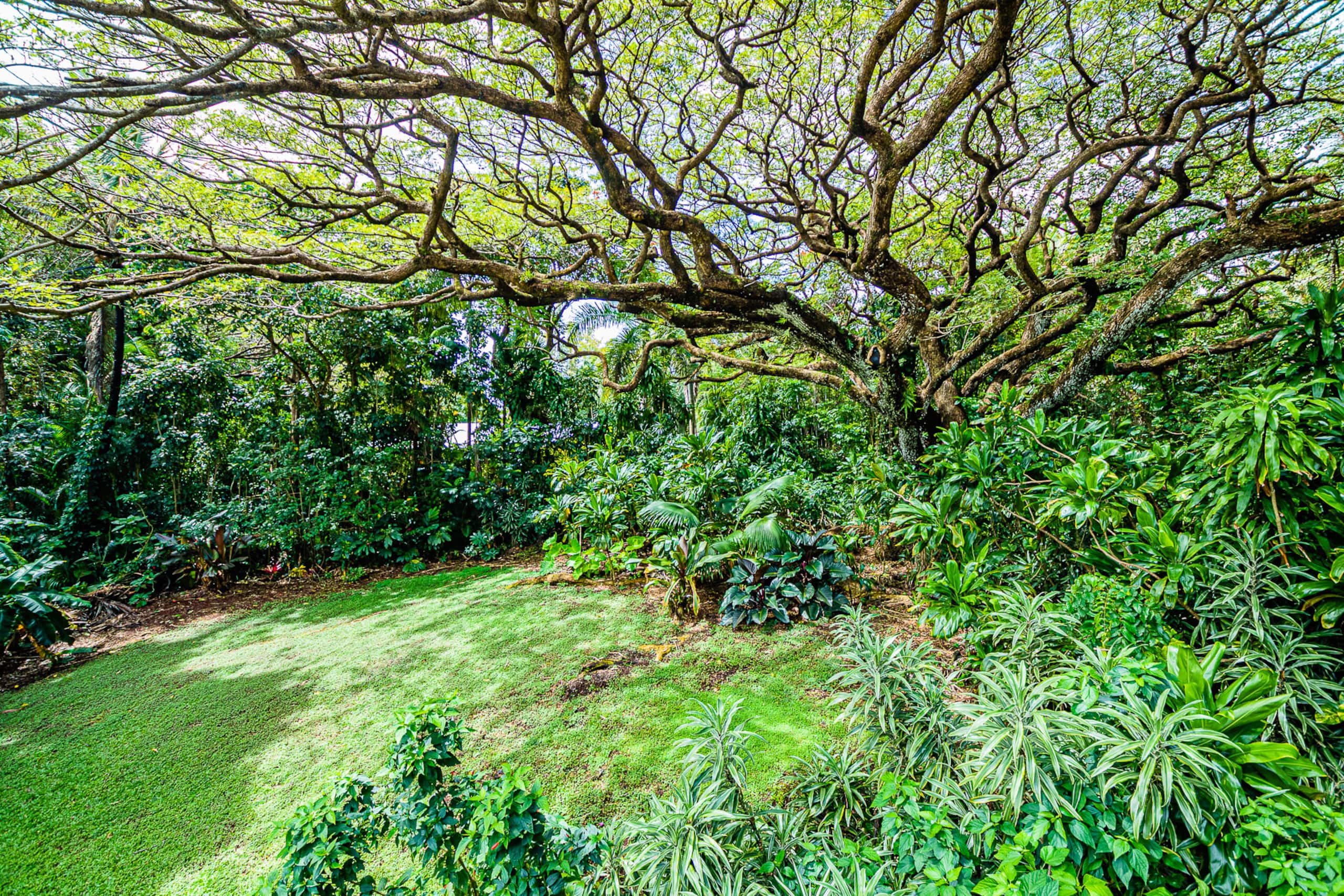 Home in Pahoa · ★4.97 · 2 bedrooms · 2 beds · 2.5 baths - Image 8