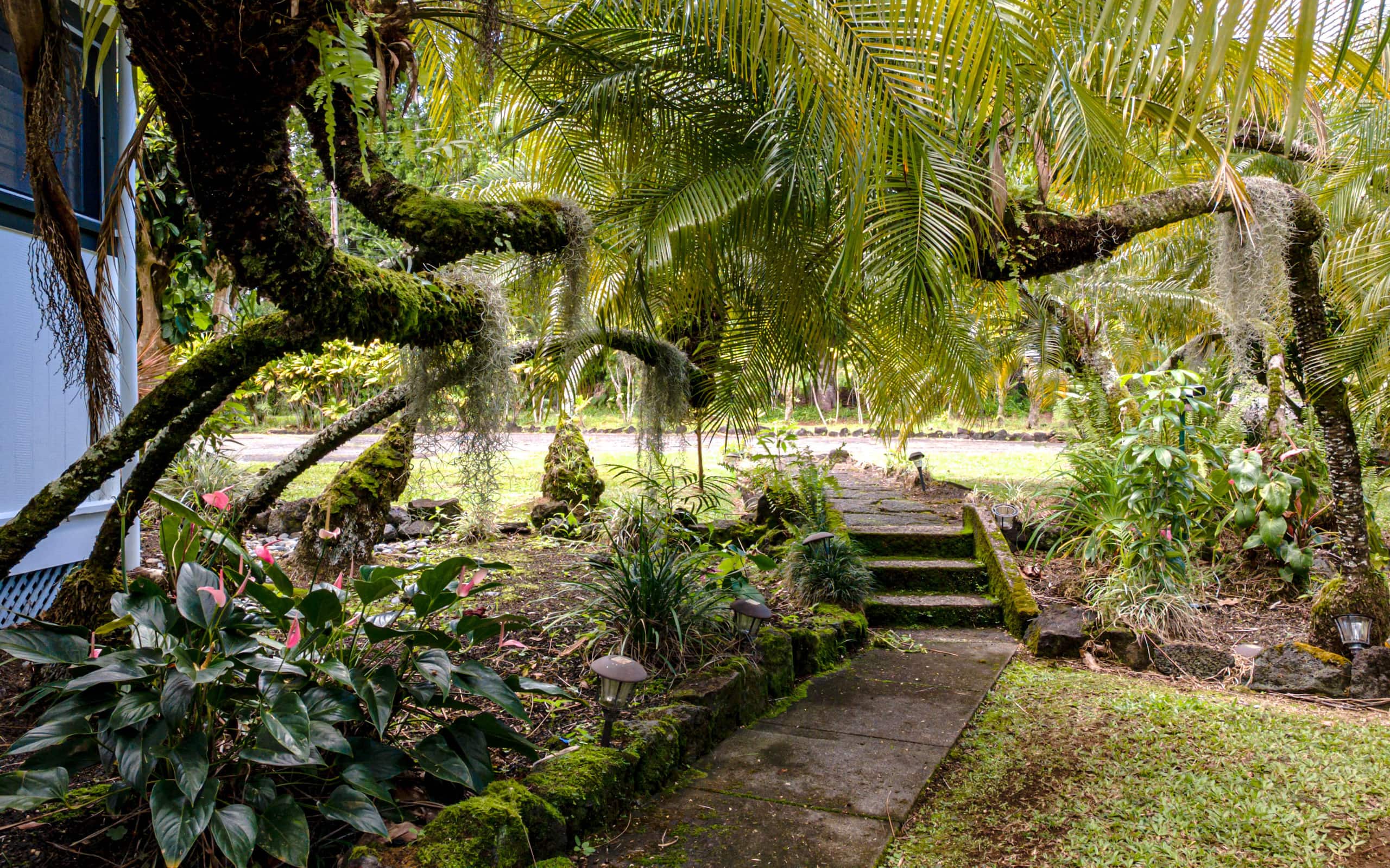 Home in Hilo · ★4.83 · 4 bedrooms · 5 beds · 2 private baths - Image 62