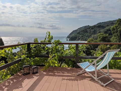 daria's home | exclusive design